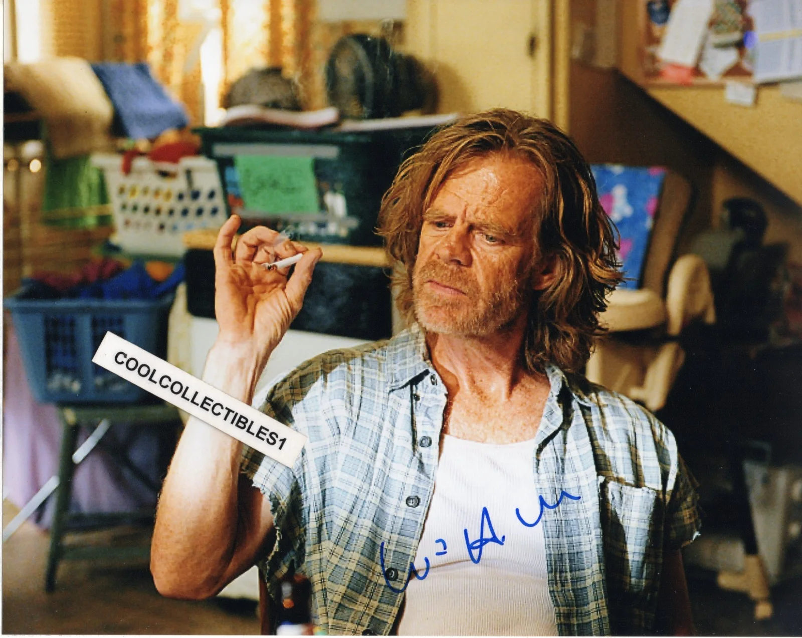 WILLIAM H MACY — WILLIAM H MACY "SHAMELESS" IN PERSON SIGNED 8X10 COLOR PHOTO COA 2 "PROOF"