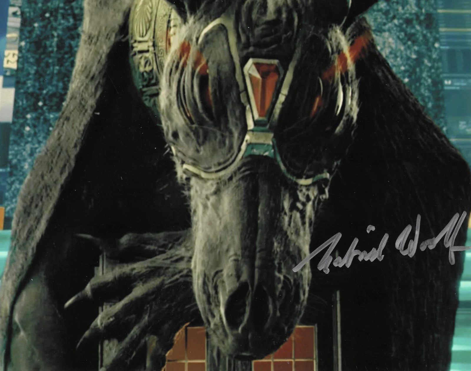 lot of seven DR WHO SIGNED IMAGES ... 8x10 each with COA, image 4