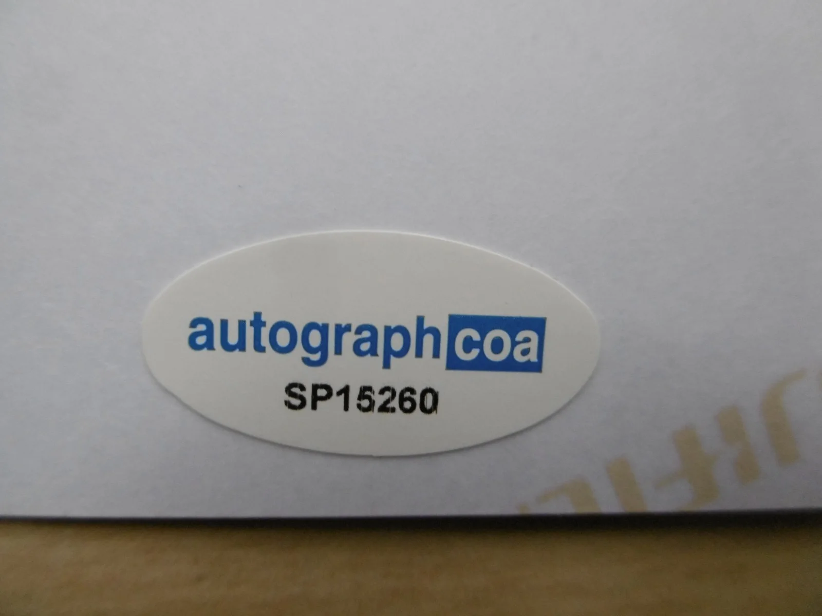Chino Moreno "Deftones" signed 8x12 inch photo autograph ACOA, изображение 3