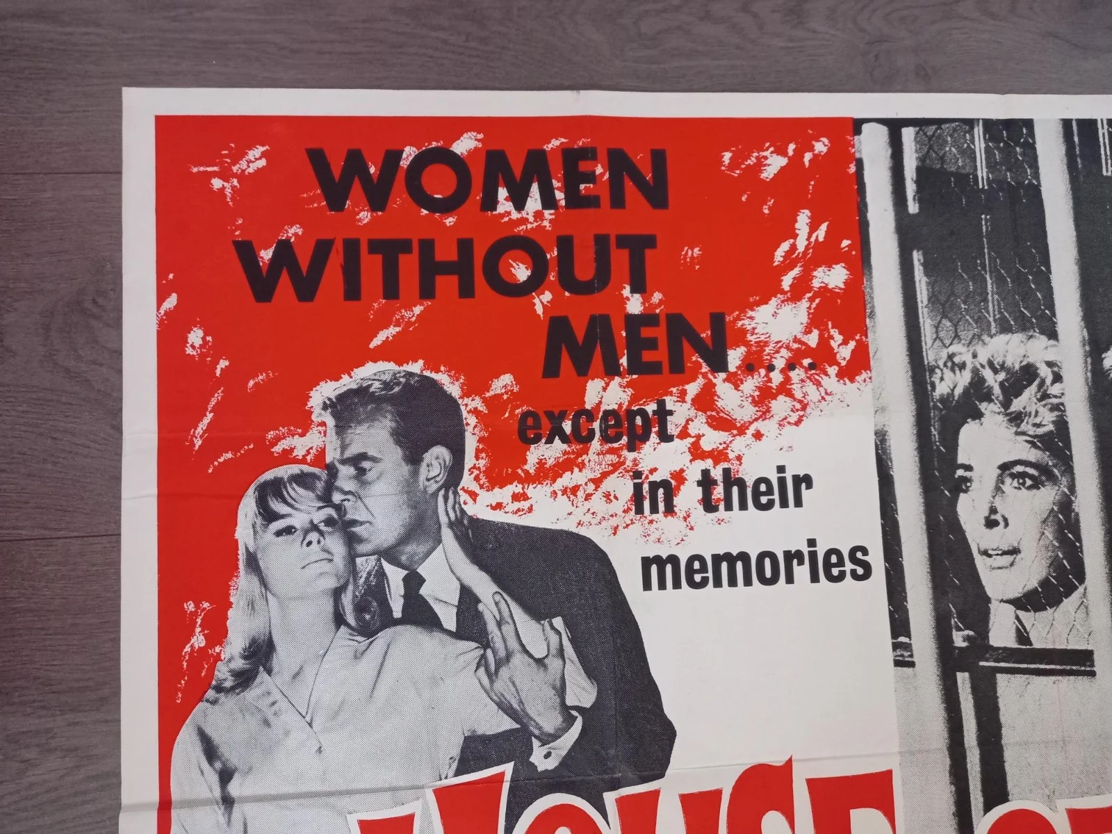 HOUSE OF WOMEN 1962 BRITISH QUAD POSTER SHIRLEY KNIGHT ANDREW DUGGAN, изображение 4