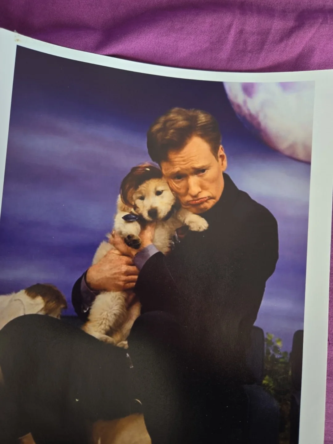 Conan o'Brien with dog Tonight Show Glossy Epson 8 1/2x11 Print Comedy talk Show, image 2