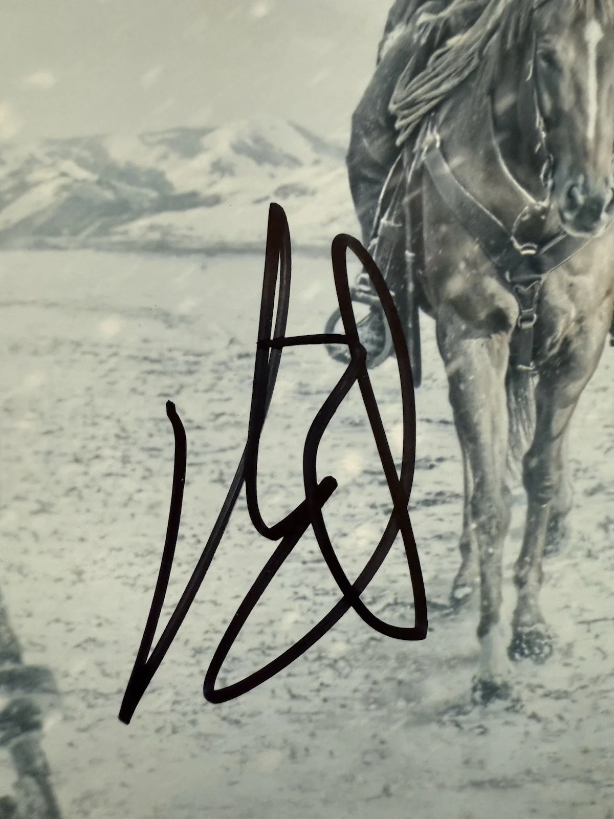 Brandon Sklenar — BRANDON SKLENAR SIGNED 11x14 PHOTO 1923 SPENCER DUTTON BECKETT BN96766, изображение 2