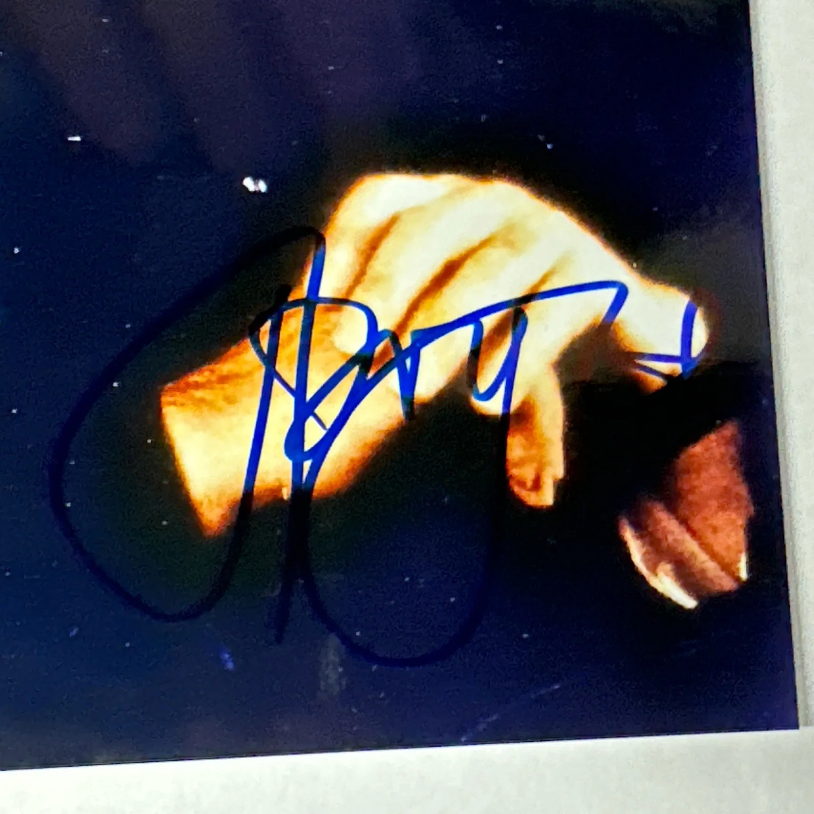 Gotz Otto/Jonathan Pryce James Bond Autographed Signed 8x10 Color Photo B’BC COA, image 3