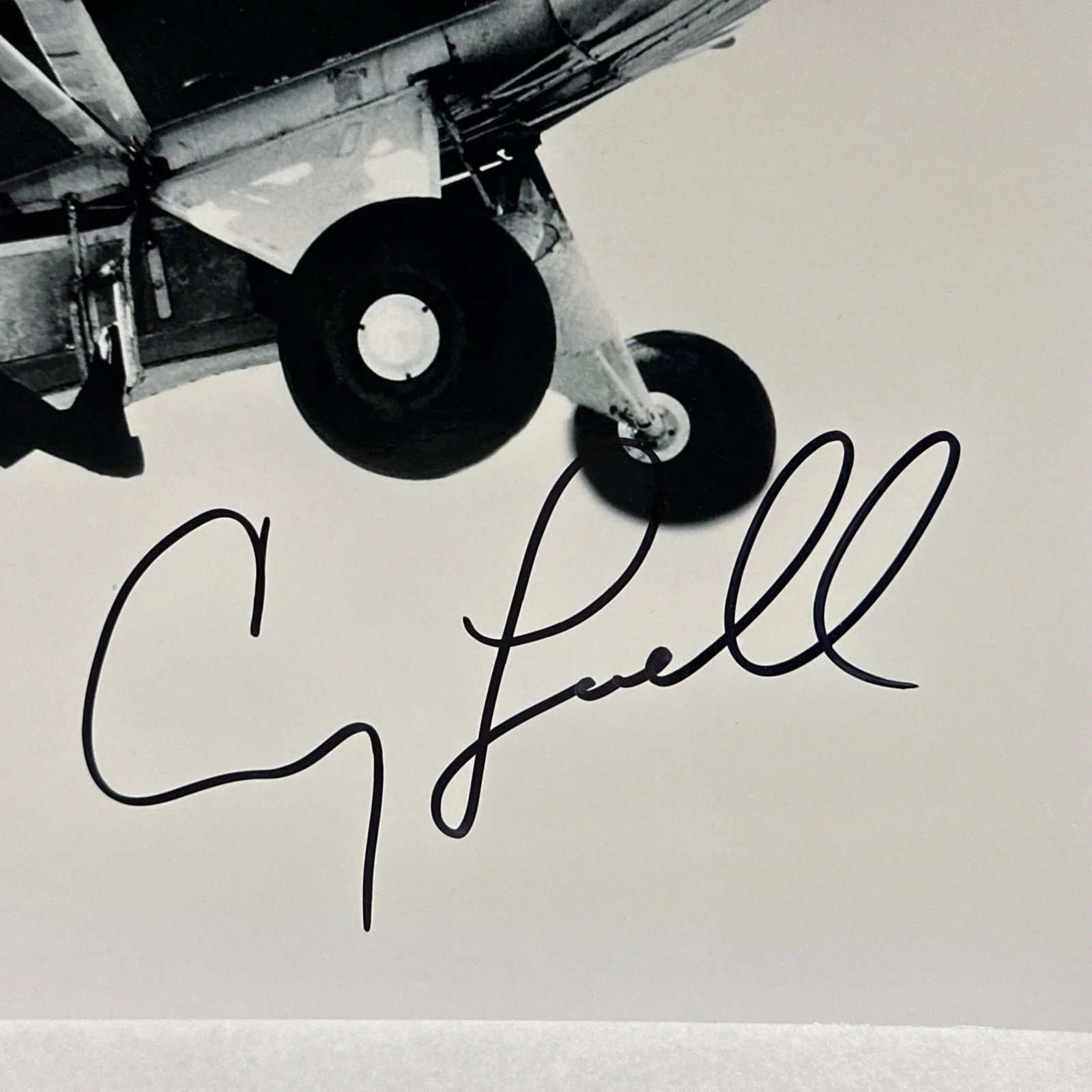 Carey Lowell As Pam Bouvier James Bond Autographed Signed 8x10 Photo B’BC COA, изображение 2