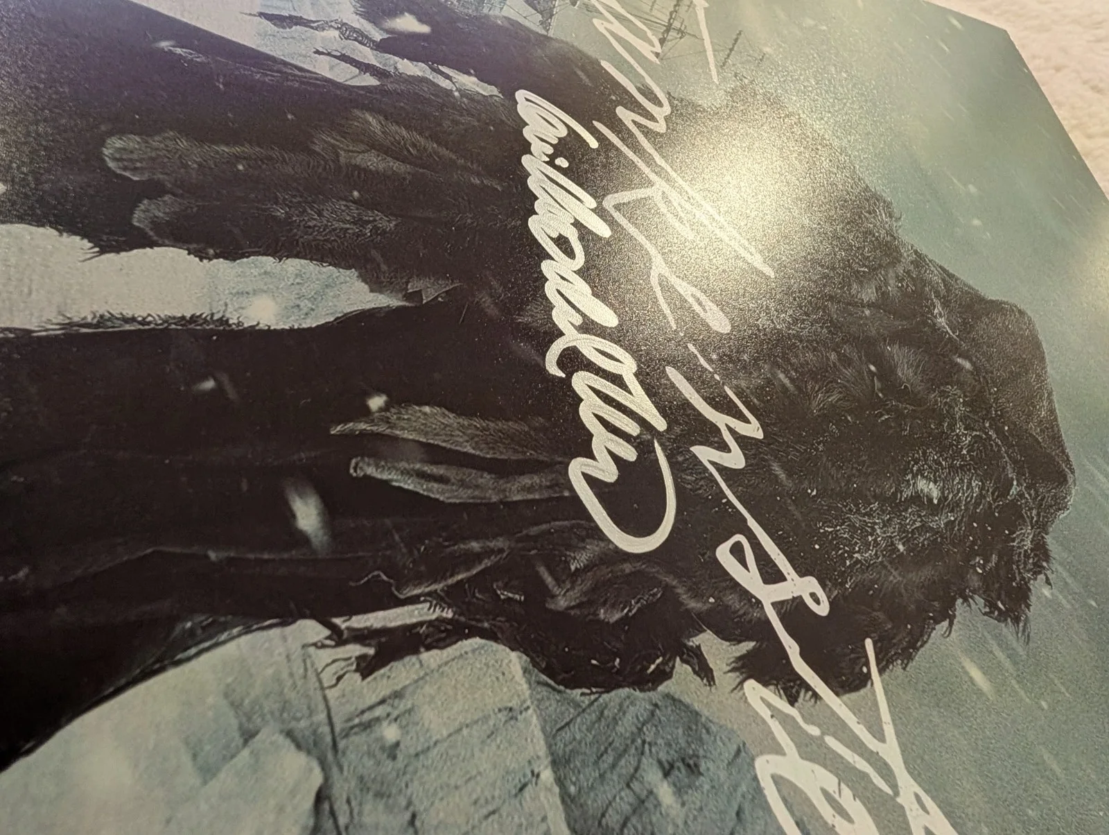 Guillermo Del Toro Signed 15x10 Frankenstein Poster Print, image 2