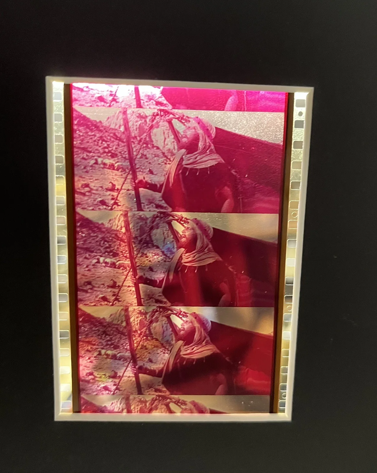 The Ten Commandments. Charlton Heston 35mm Film Cell Mounted Display, image 4