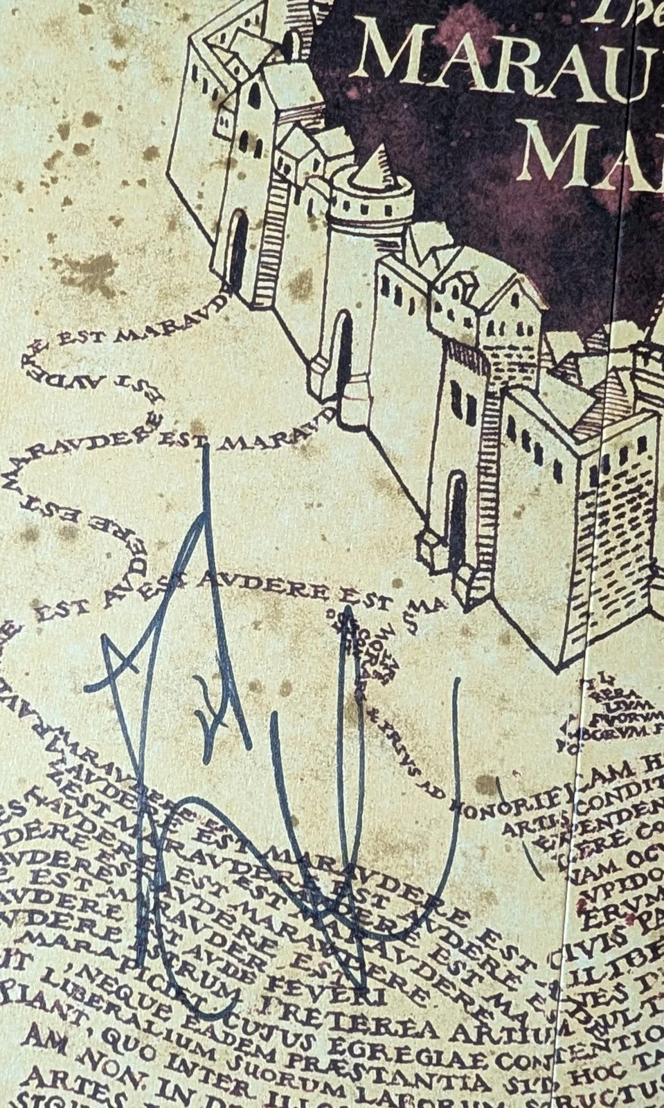 DANIEL RADCLIFFE — DANIEL RADCLIFFE signed/autographed MARAUDER'S MAP from HARRY POTTER BECKETT COA, image 2
