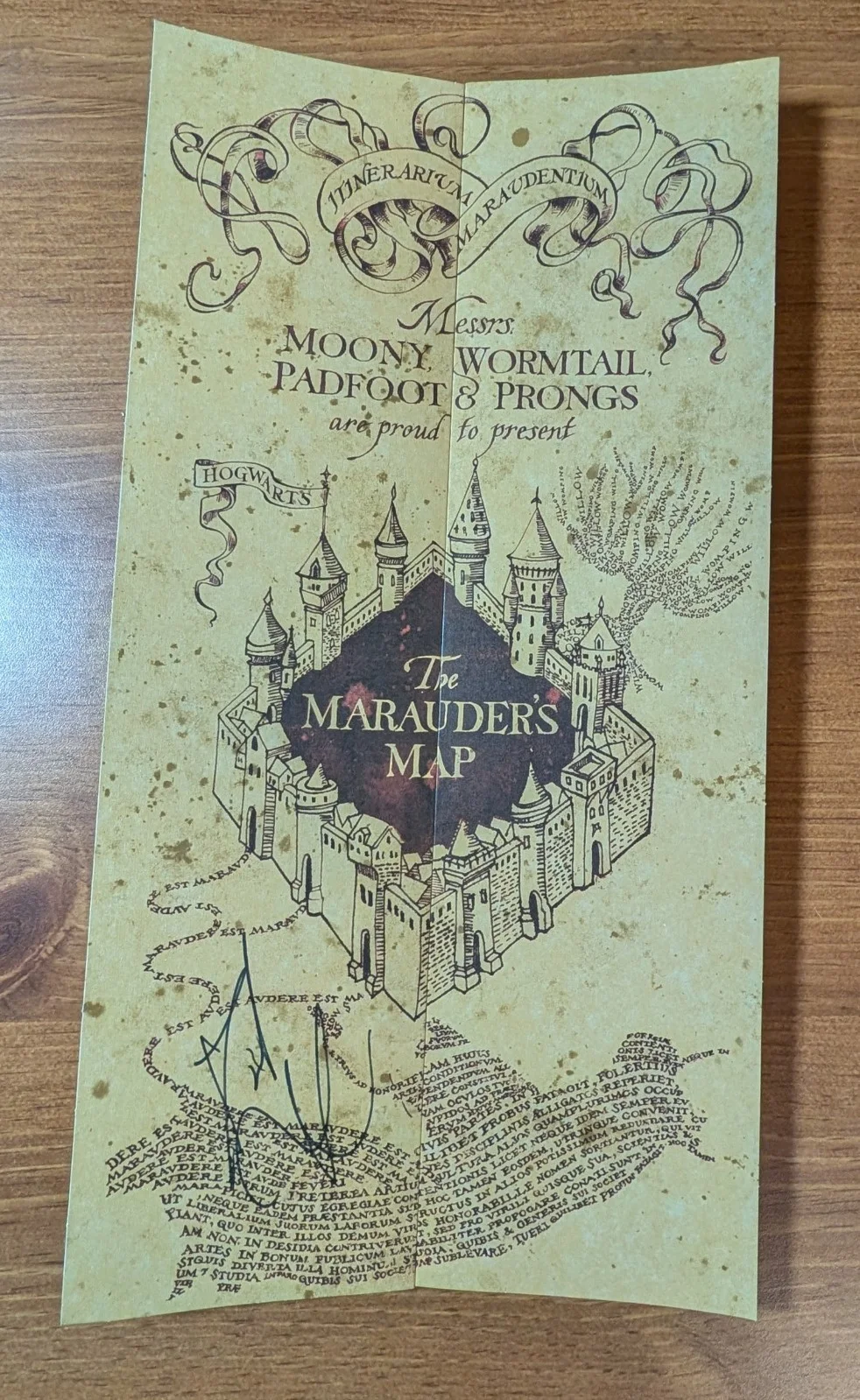 DANIEL RADCLIFFE — DANIEL RADCLIFFE signed/autographed MARAUDER'S MAP from HARRY POTTER BECKETT COA, image 5