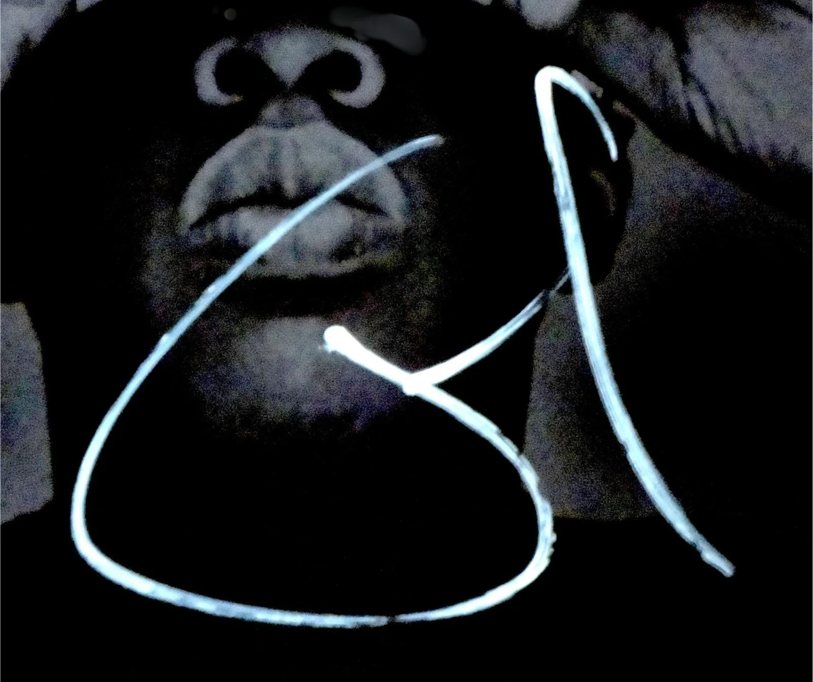 JAY-Z HAND SIGNED AUTOGRAPHED THE BLACK ALBUM BRAND NEW MINT COND RARE W/ PROOF!, изображение 2
