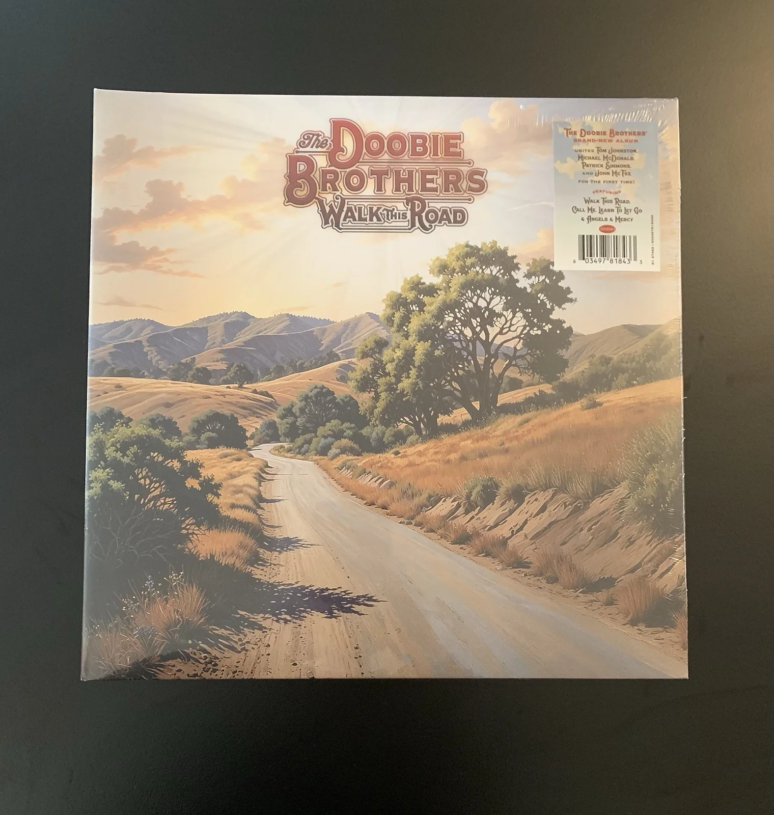 SIGNED Doobie Brothers - Walk This Road - Vinyl Record LP, image 2