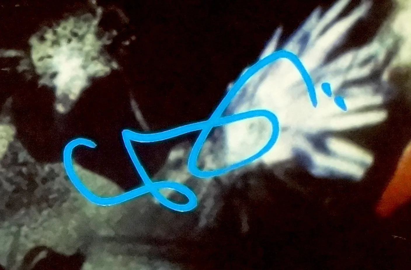 THE CURE HAND SIGNED AUTOGRAPHED DISINTEGRATION ALBUM BY 4 RARE EXACT PROOF +JSA, изображение 4