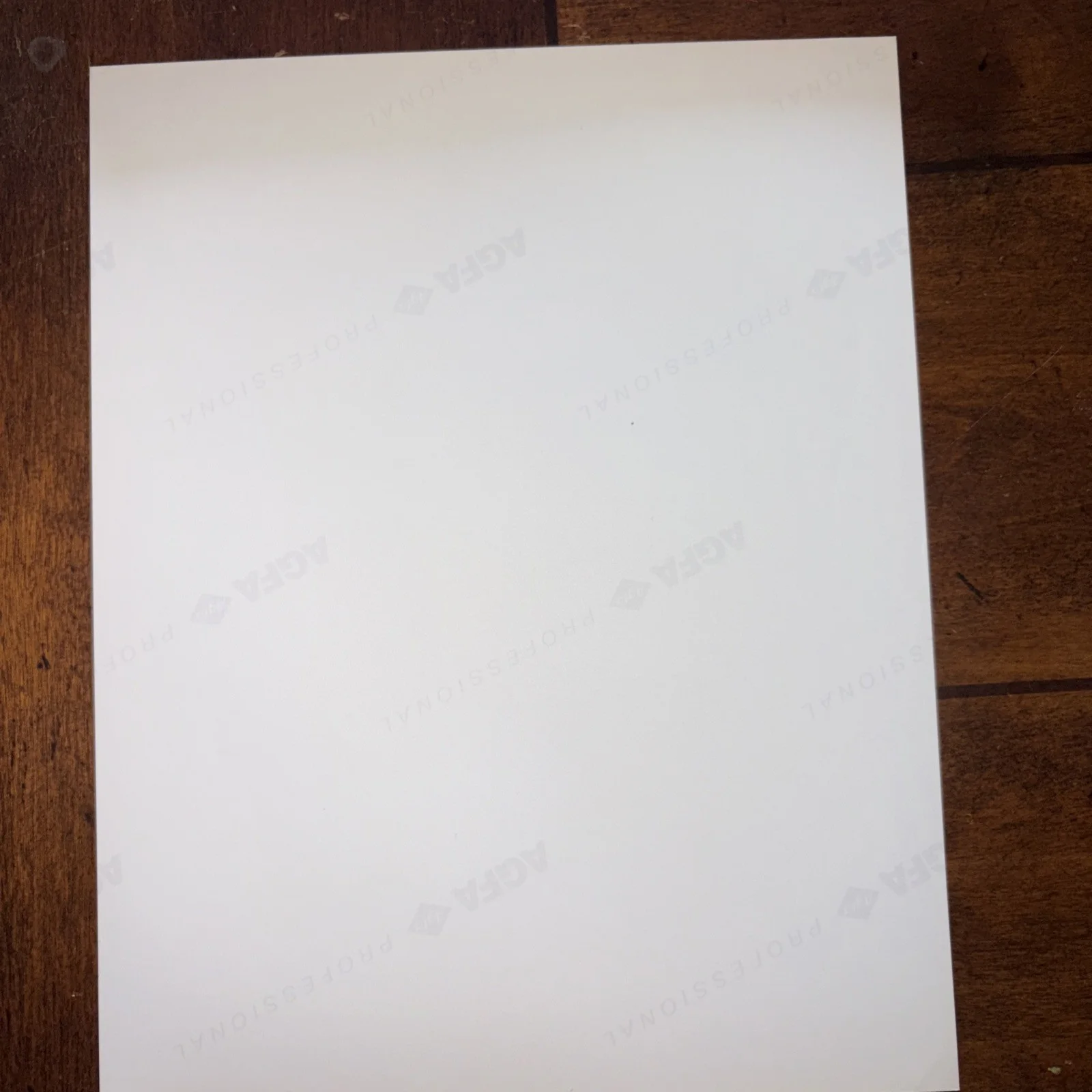 Liza Minelli — LIZA MINNELLI Original Signature Autographed 8X10" Photograph with COA, изображение 3