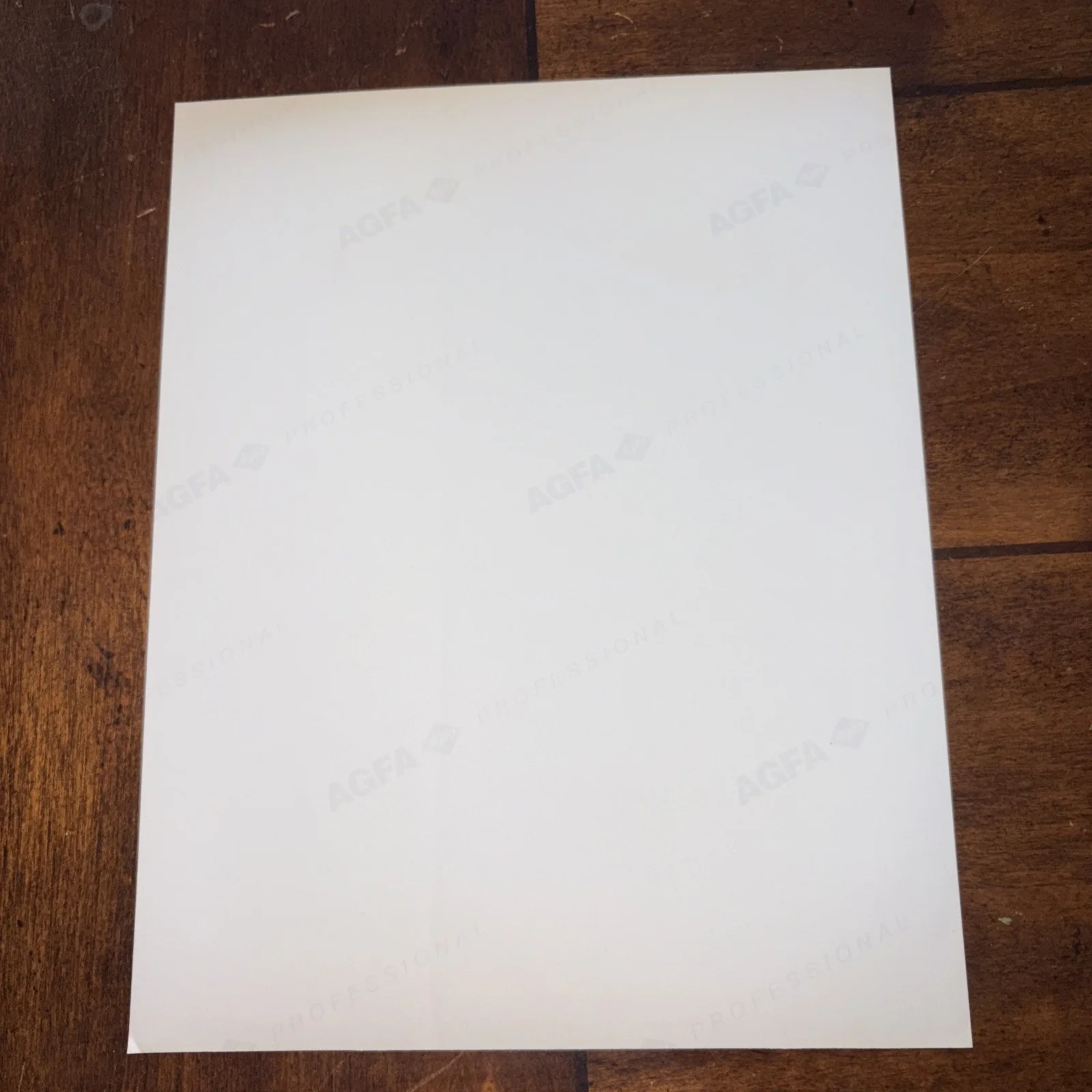 Walter Matthau — WALTER MATTHAU SIGNED AUTOGRAPHED 8X10 PHOTOGRAPH, image 3