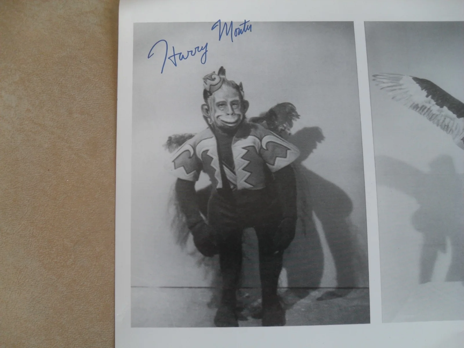 Harry Monty - Wizard of Oz Winged Flying Monkey 10" x 8" Signed Photo With COA, image 4