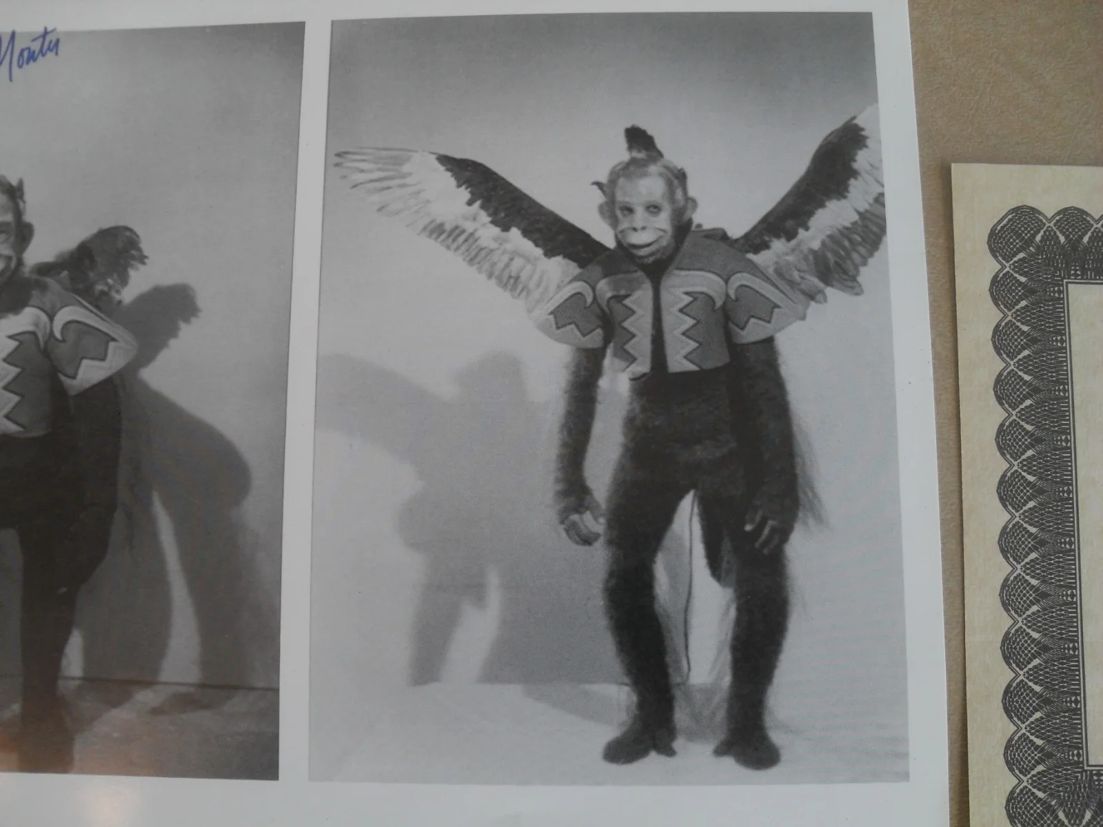 Harry Monty - Wizard of Oz Winged Flying Monkey 10" x 8" Signed Photo With COA, image 5