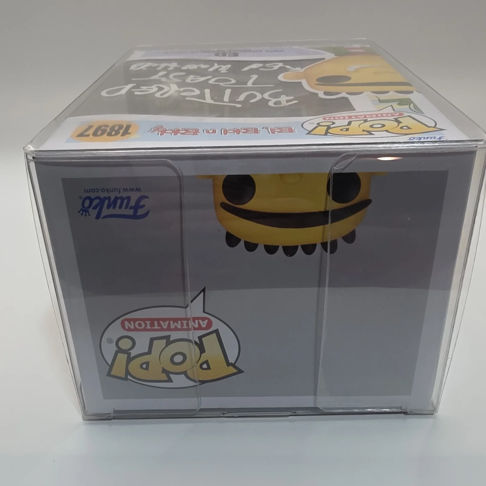 Ed Matt Hill — Funko Pop Ed Edd n Eddy Ed #1897 Signed Ed Matt Hill SWAU Authenticated, image 5