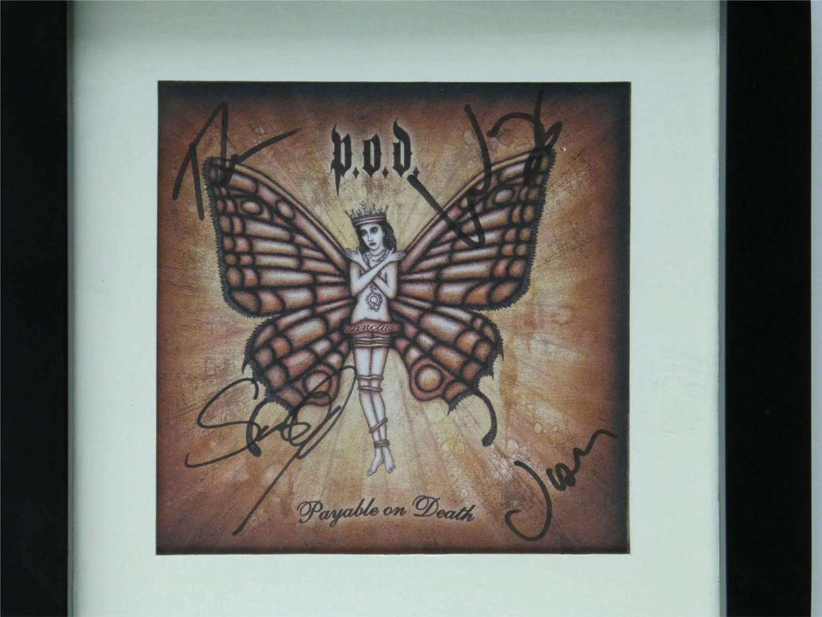Payable On Death POD Band Signed CD Cover Framed Display Matted 7.75x13.25, image 2