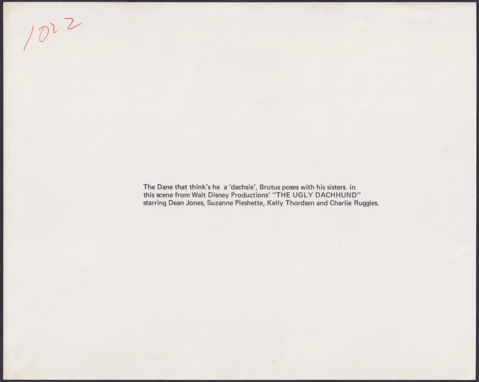 Ugly Dachshund 8x ORIGINAL UK FOH Lobby Cards + 2 Studio Stills Disney 1962, изображение 3