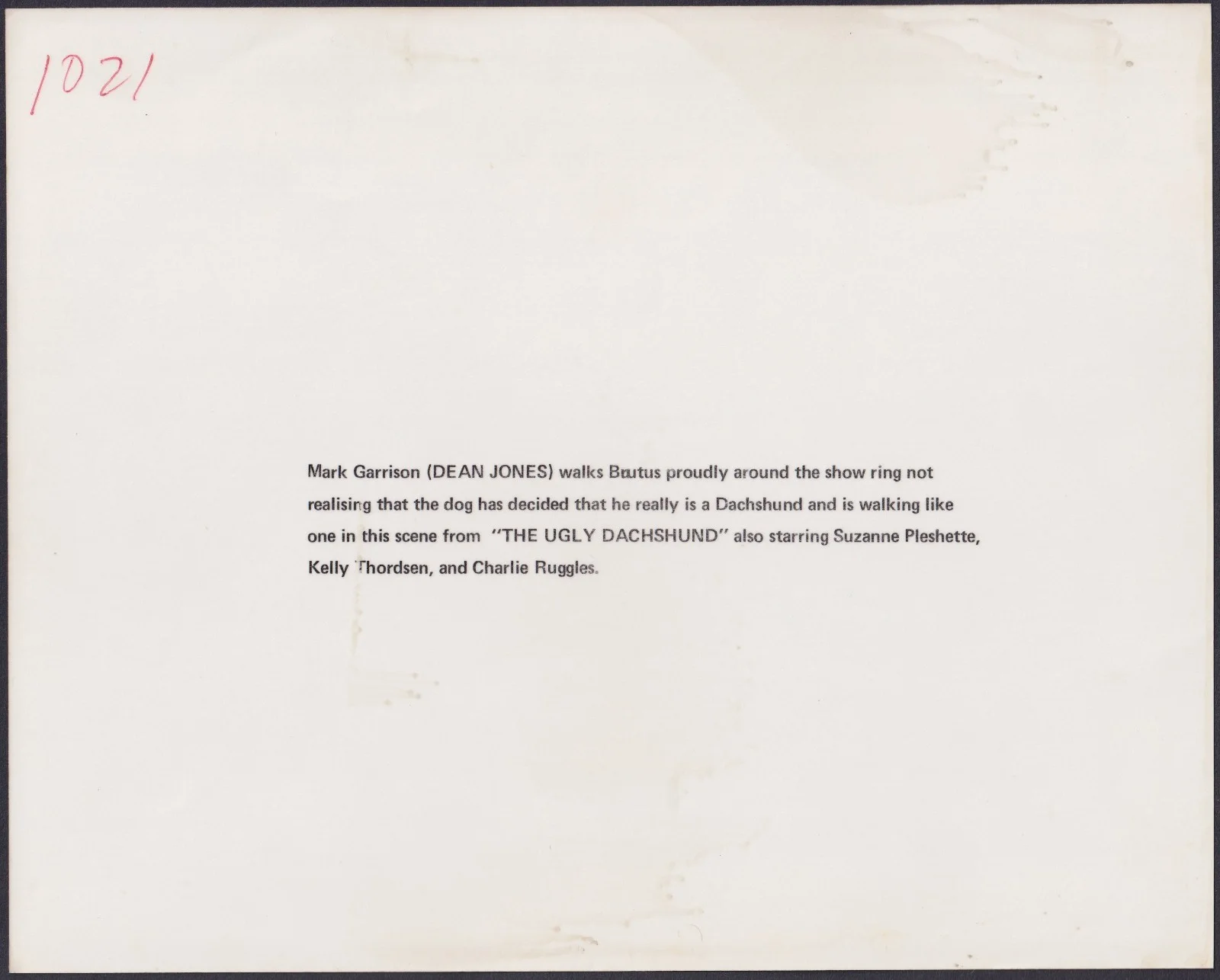 Ugly Dachshund 8x ORIGINAL UK FOH Lobby Cards + 2 Studio Stills Disney 1962, изображение 5