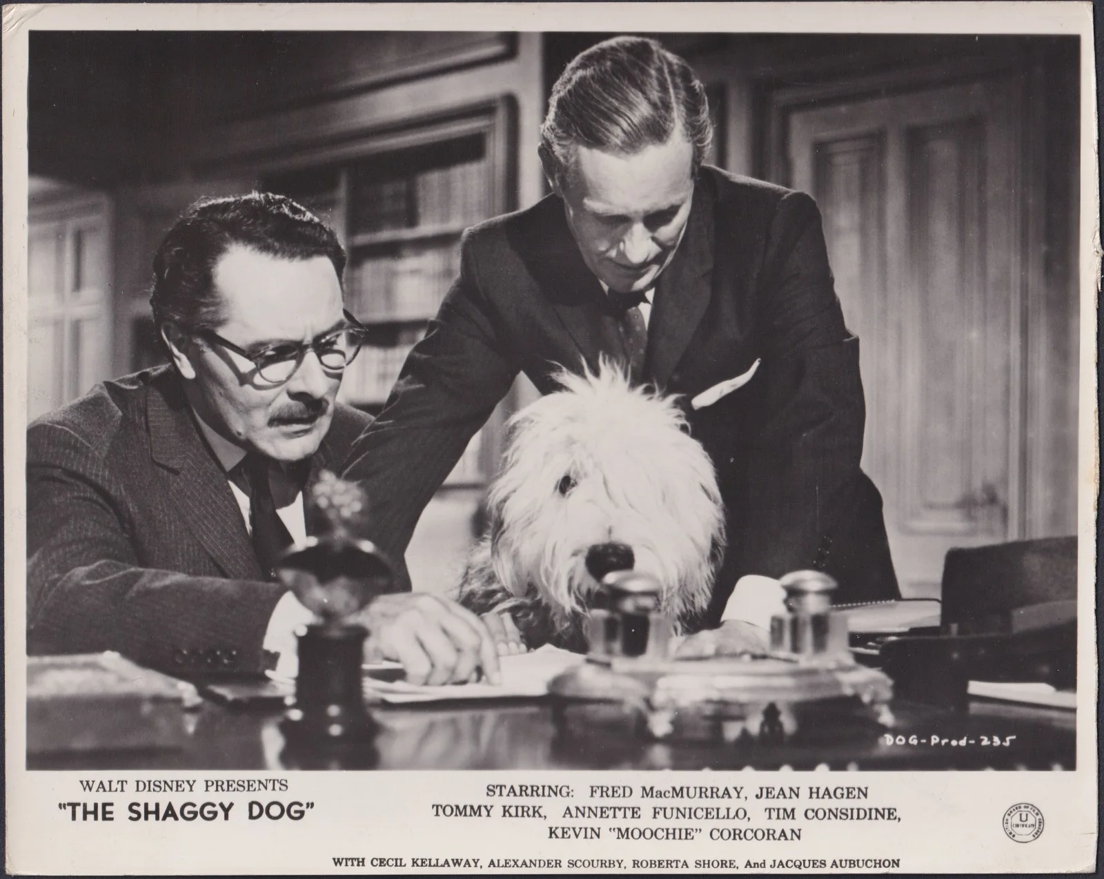 Shaggy Dog 6x ORIGINAL UK FOH Lobby Cards + 3 Studio Stills Disney 1959, изображение 3