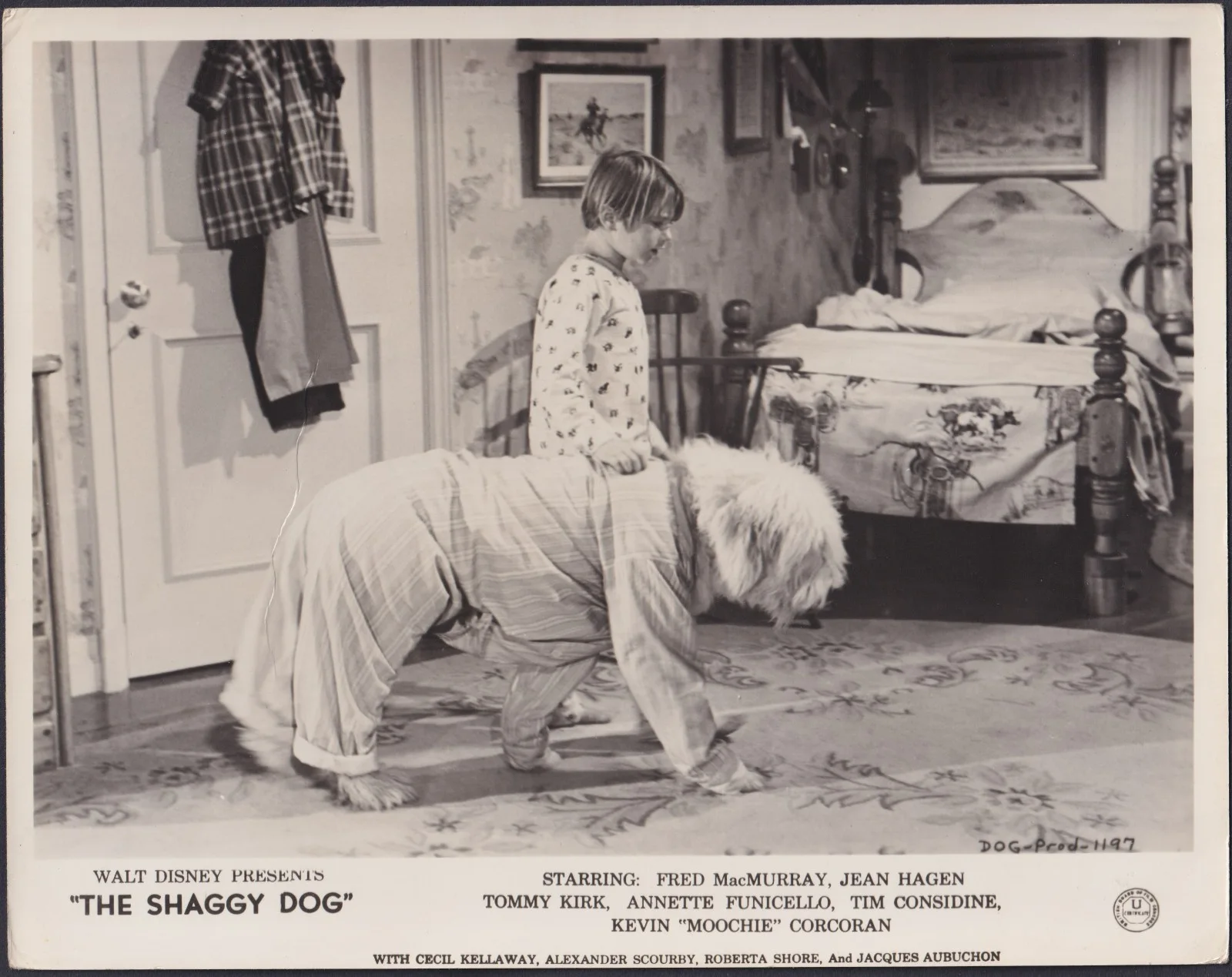 Shaggy Dog 6x ORIGINAL UK FOH Lobby Cards + 3 Studio Stills Disney 1959, изображение 4