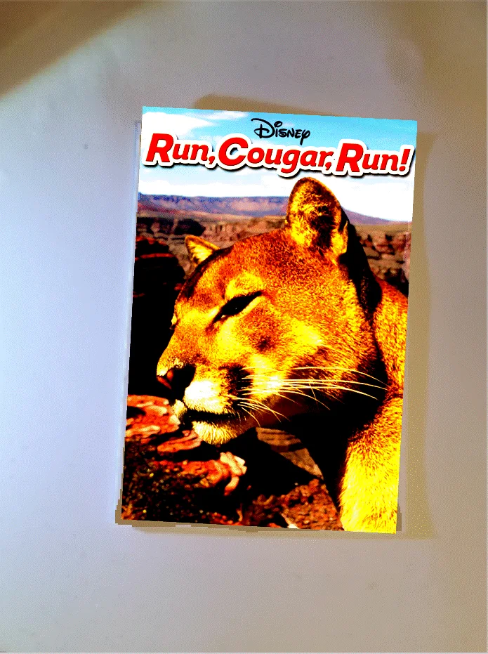 Walt Disney Run, Cougar, Run 1972 Reproduction Wilderness Adventure Postcard, изображение 4