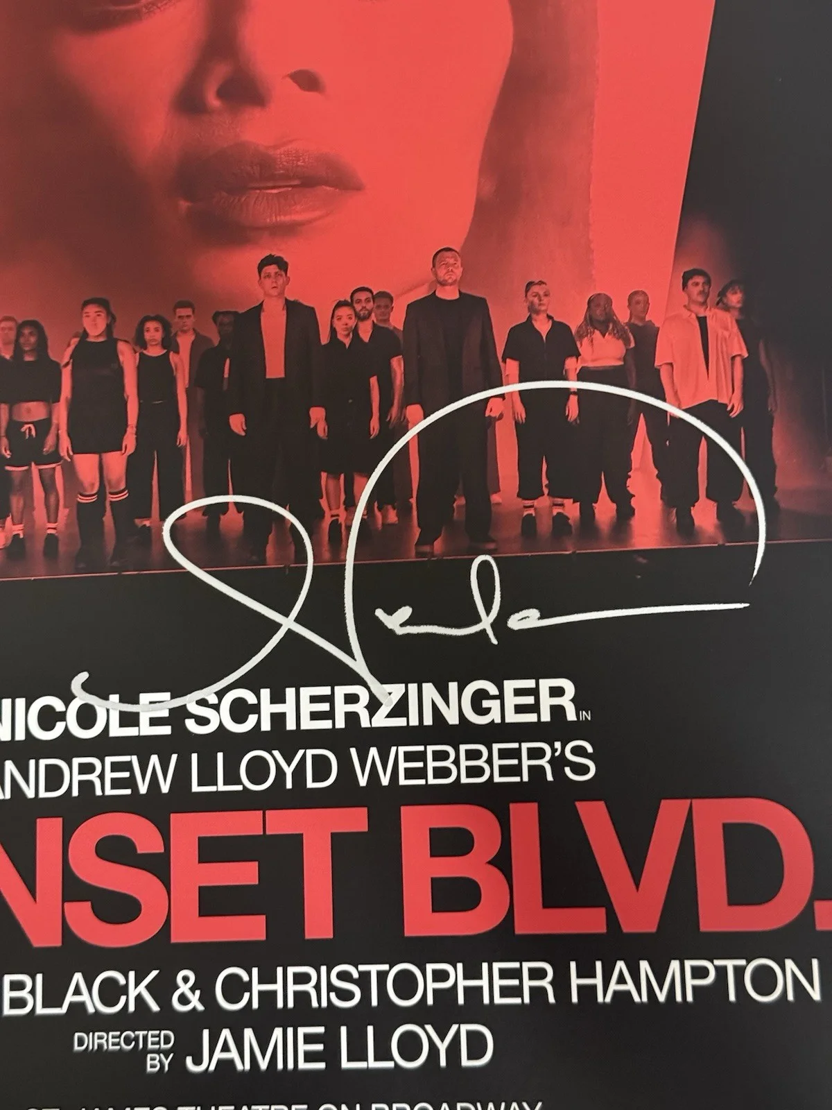 Nicole Scherzinger — Nicole Scherzinger Sunset Blvd Boulevard Signed Broadway Window Card 14x22, изображение 4