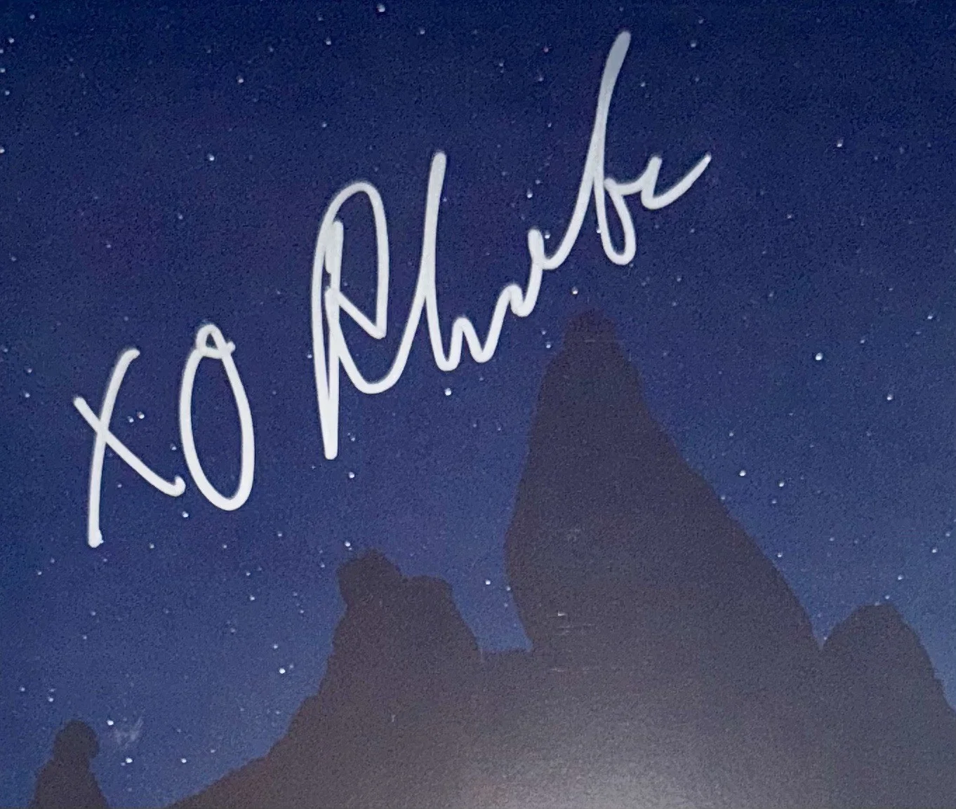 PHOEBE BRIDGERS HAND SIGNED AUTOGRAPH PUNISHER VINYL ALBUM LP +JSA COA, изображение 2