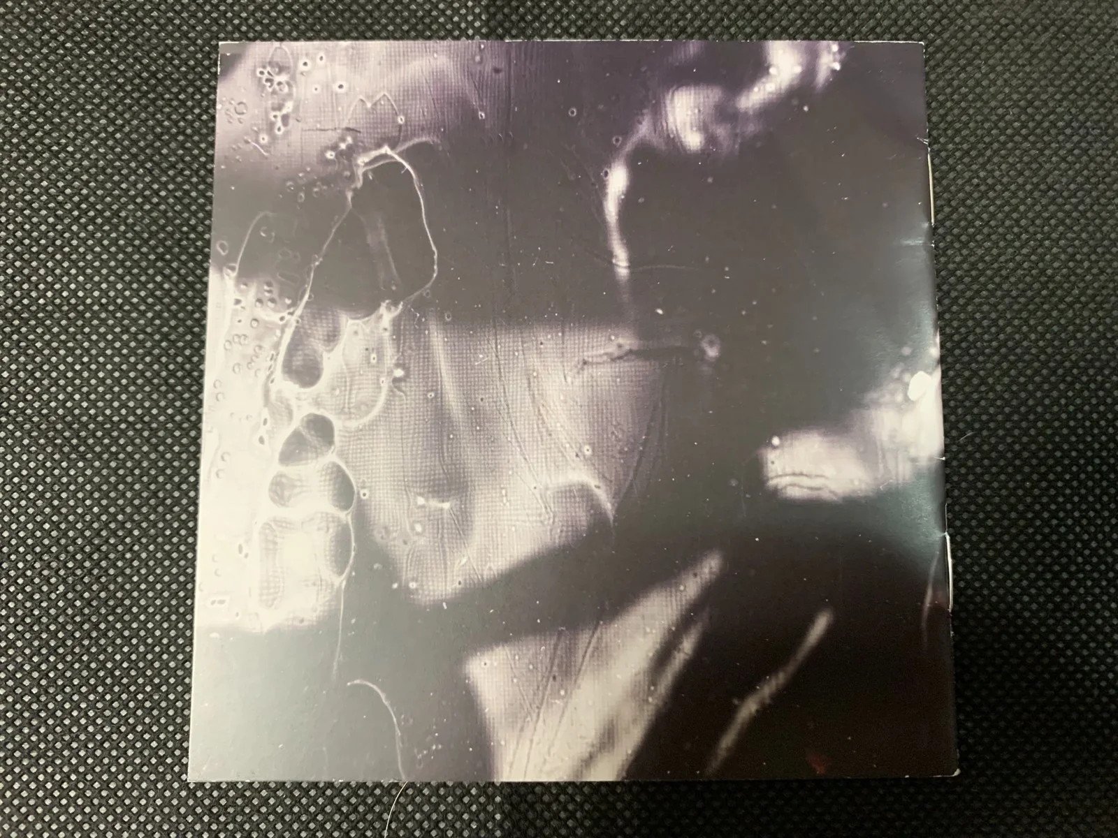 Evanescence-Amy Lee Autographed The Bitter Truth CD Booklet (Booklet Only), изображение 2