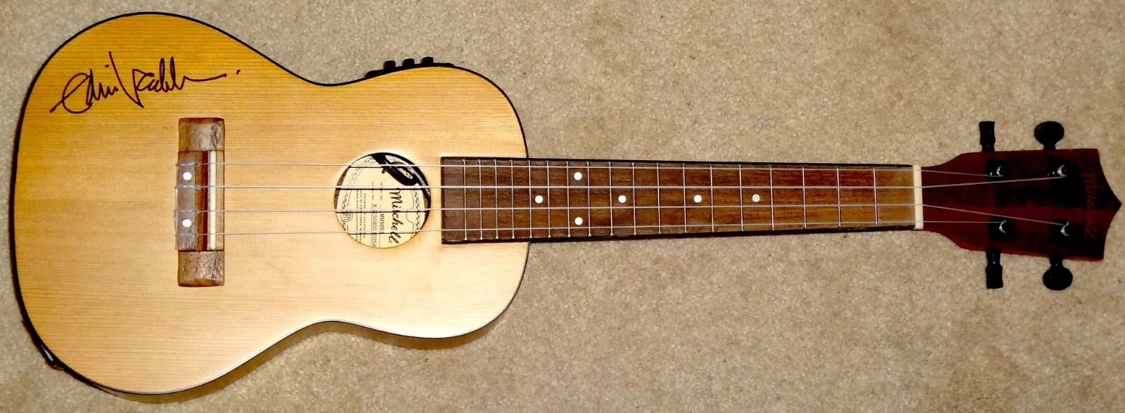 EDDIE VEDDER PEARL JAM HAND SIGNED AUTOGRAPHED UKULELE GUITAR ON BODY RARE PROOF, image 3