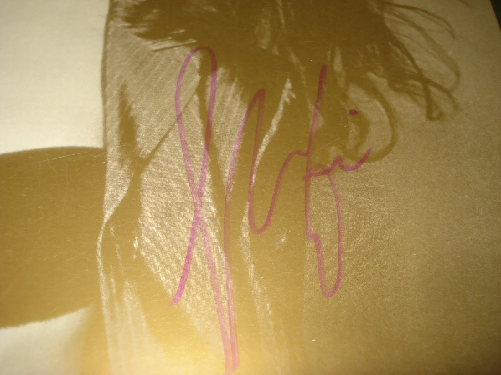 1990's SHANIA TWAIN AUTOGRAPHED CONCERT PROGRAM 11" X 15", NICE PIECE, image 3
