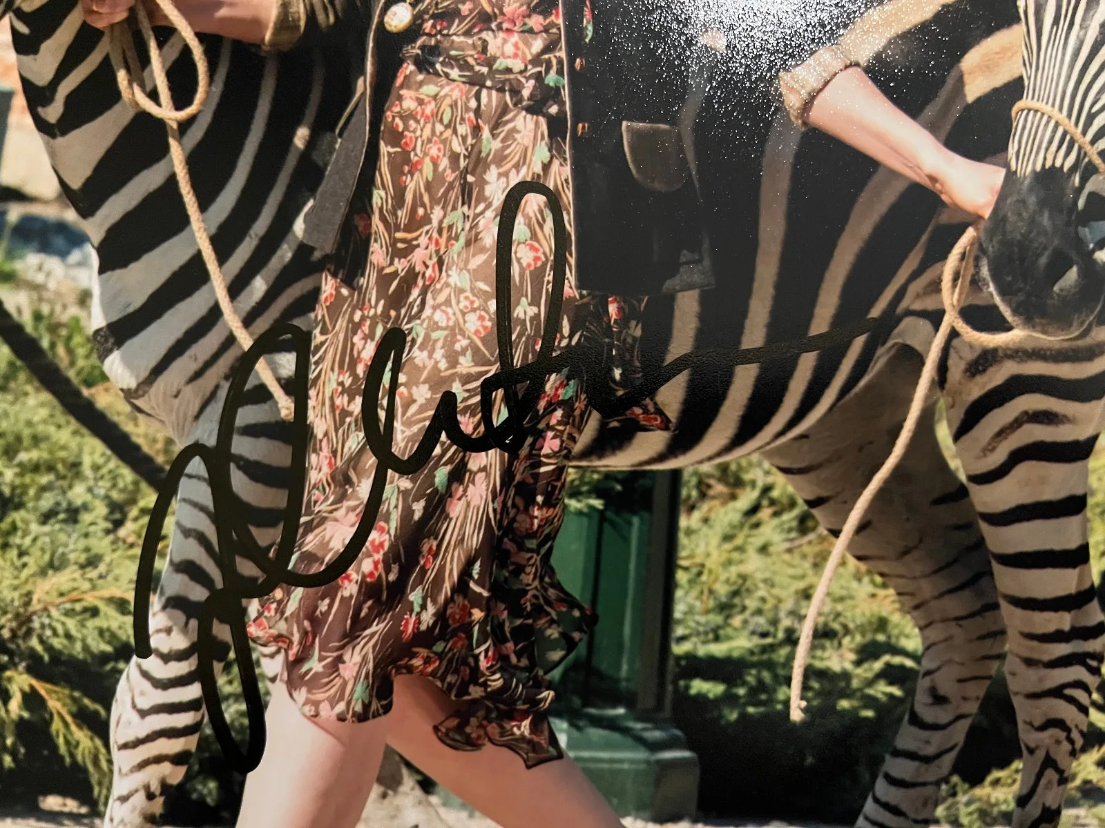 Jessica Chastain Signed - The Zookeeper's Wife 8x10inch Photo BECKETT, изображение 2