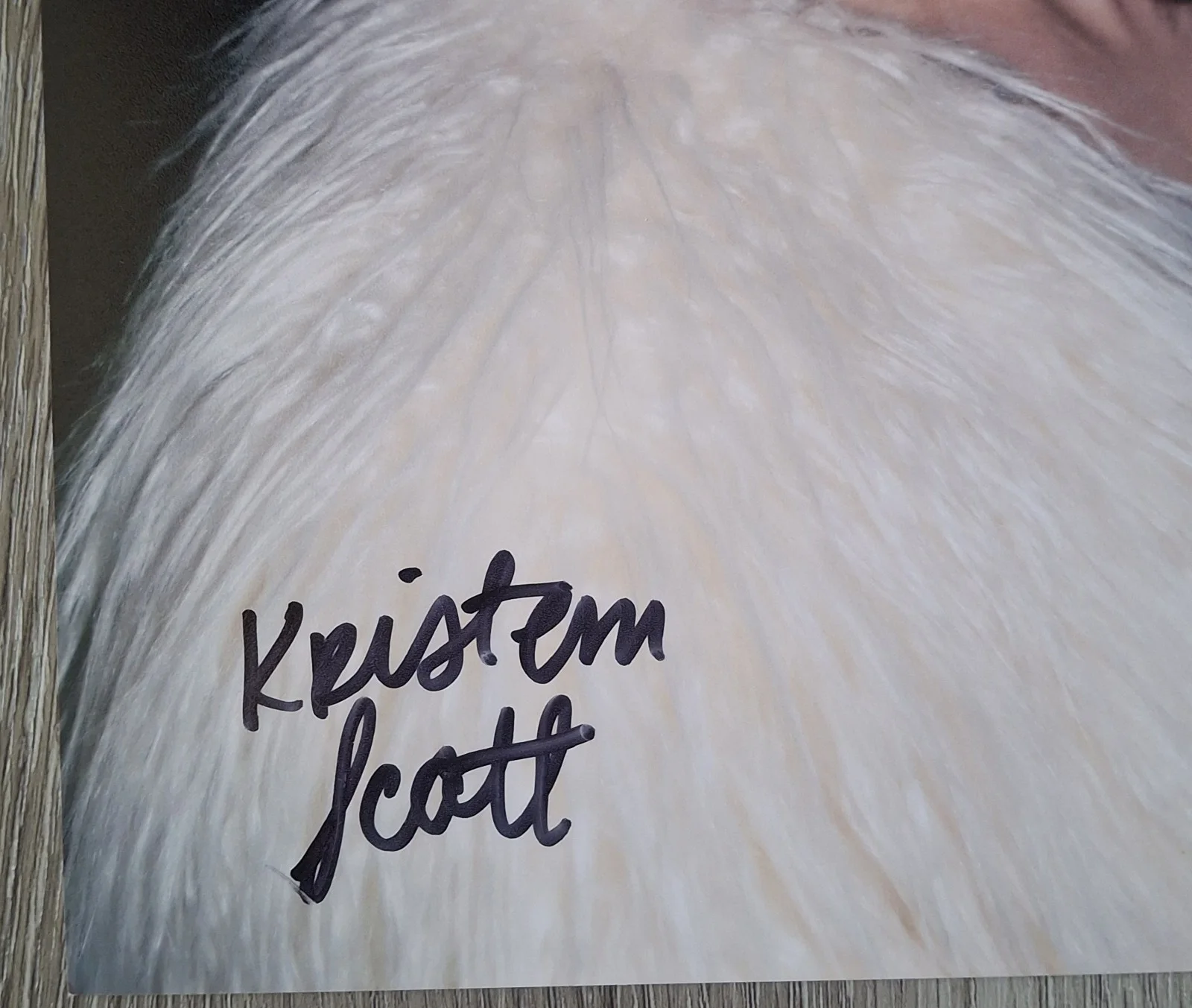 Kristen Scott Signed 8x12" Original PHOTO #8 - Portrait, image 2