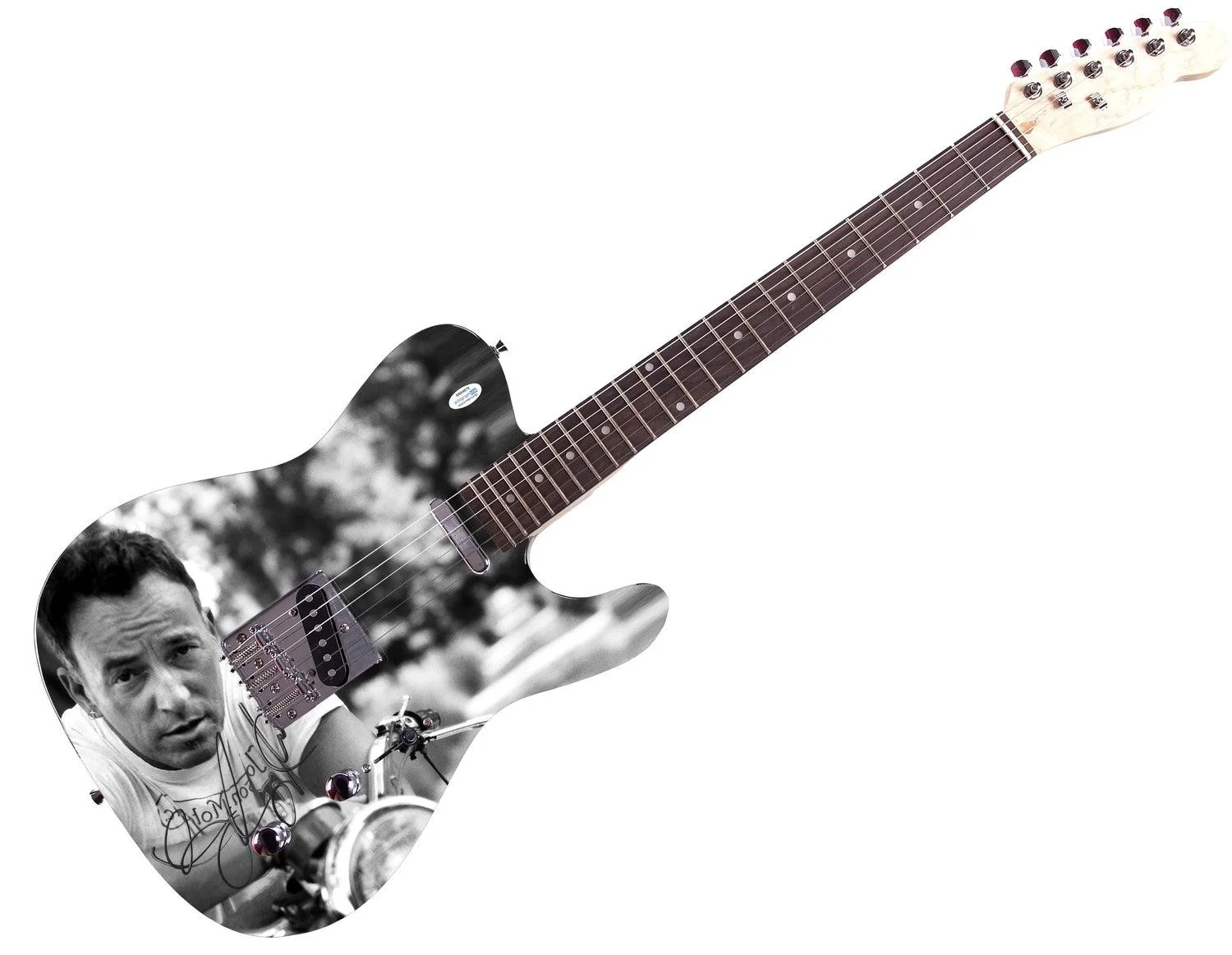 Bruce Springsteen Born To Ride Signed Custom Graphics Guitar ACOA, image 3