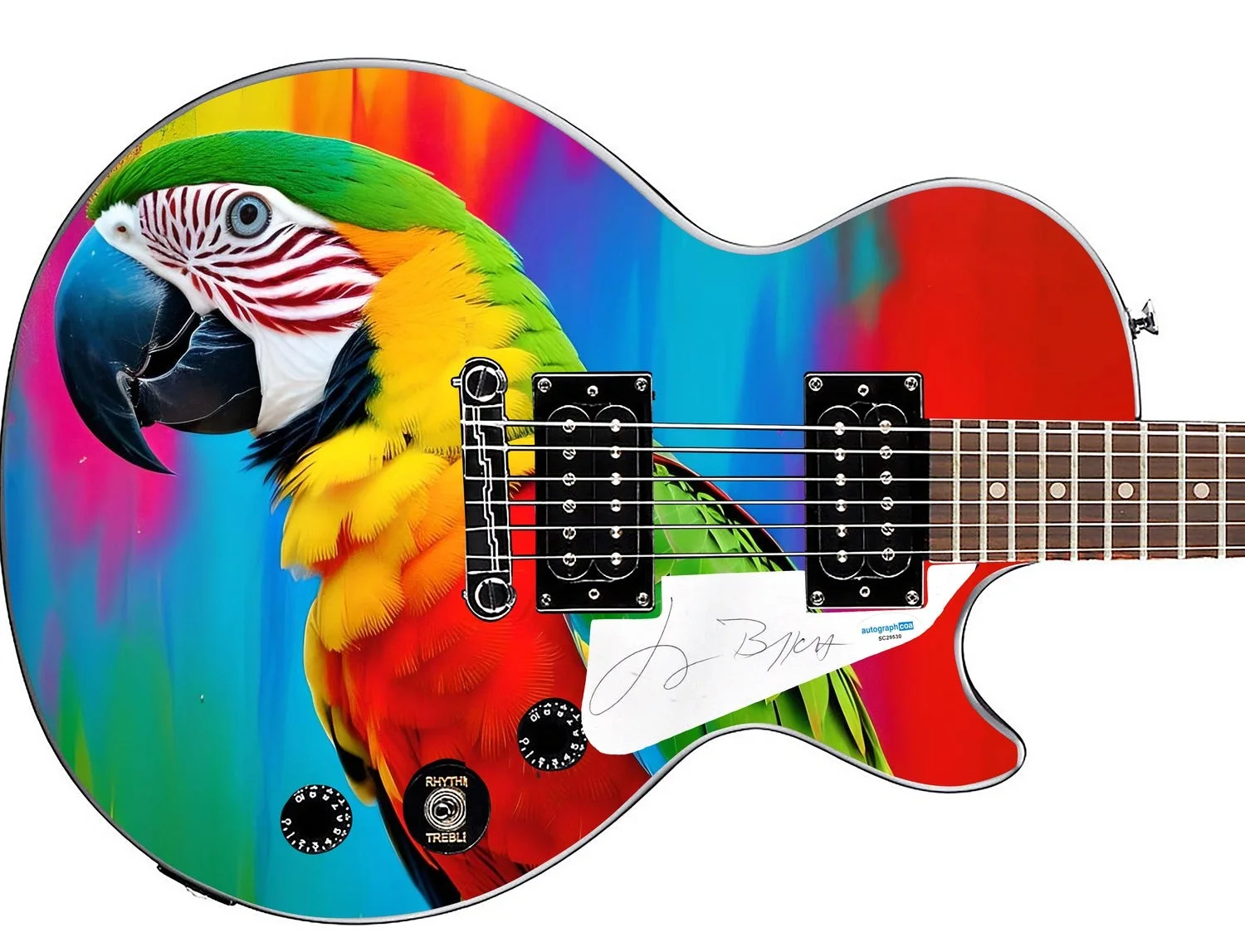Jimmy Buffett Margaritaville Autographed Custom Epiphone Guitar Custom Display A, image 2