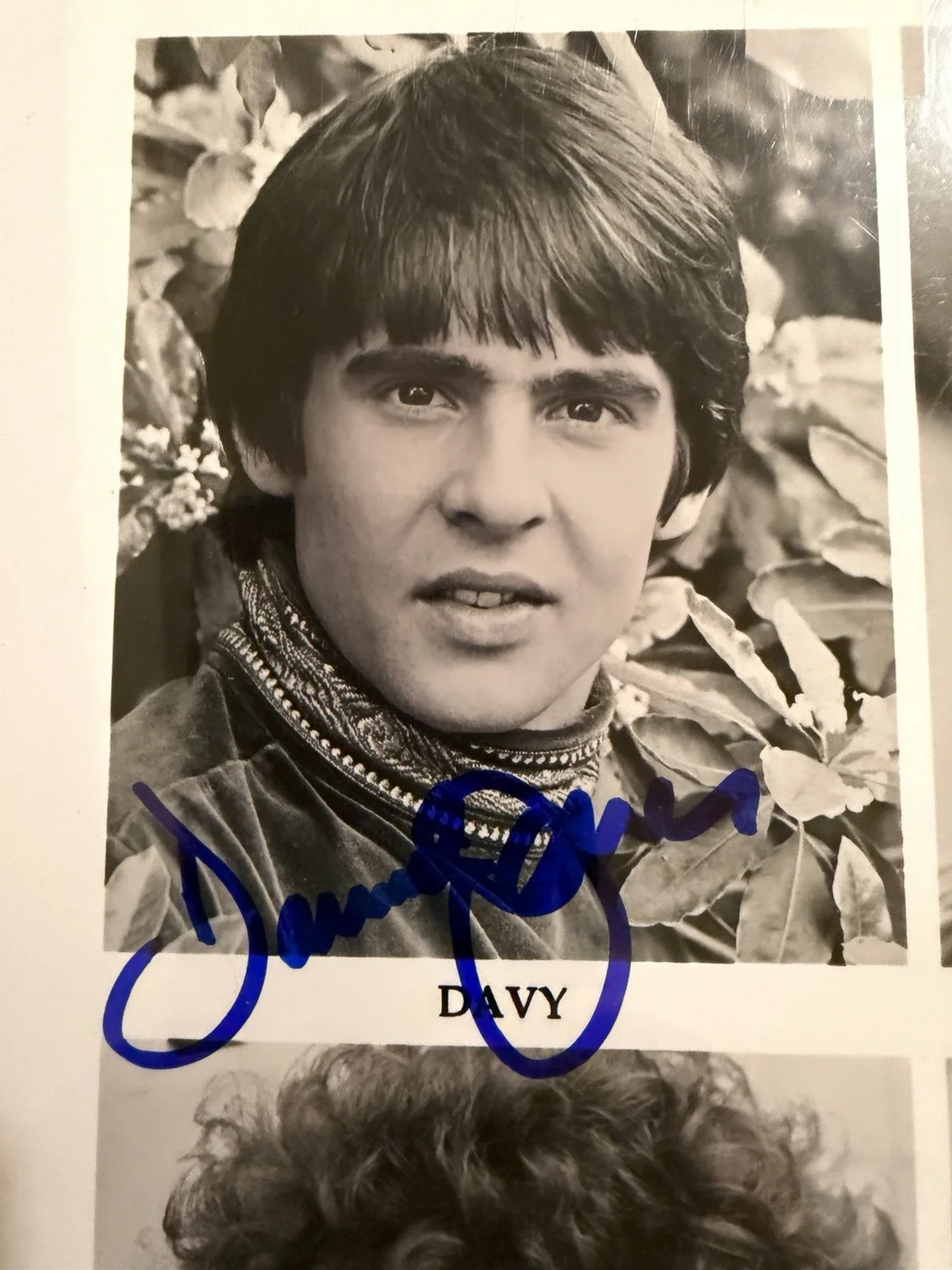 The Monkees 8x10 Photo Signed All 4 Members Jones-Tork-Nesmith & Dolenz JSA COA., image 3