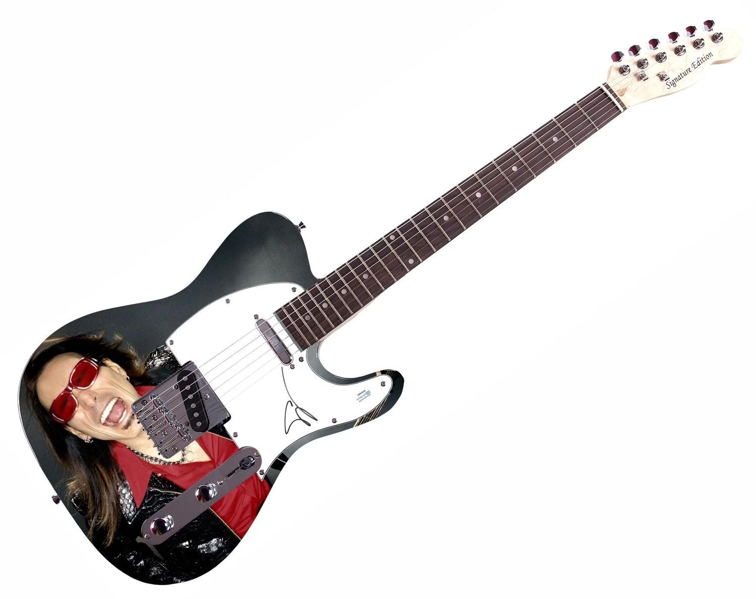 Steve Vai Signed Custom 1/1 Graphics Photo Guitar ACOA, image 3