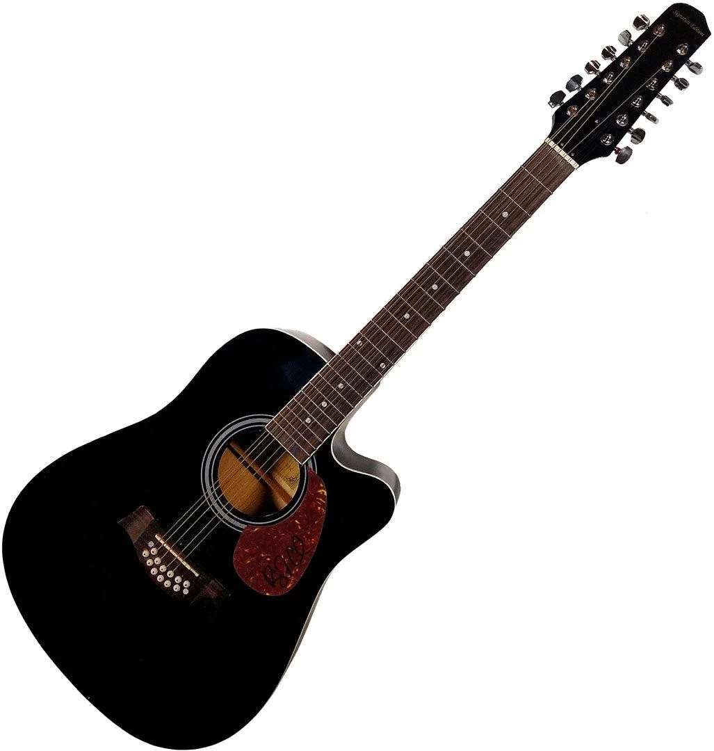 Ryan Cabrera Signed 12-string Acoustic Guitar, изображение 3