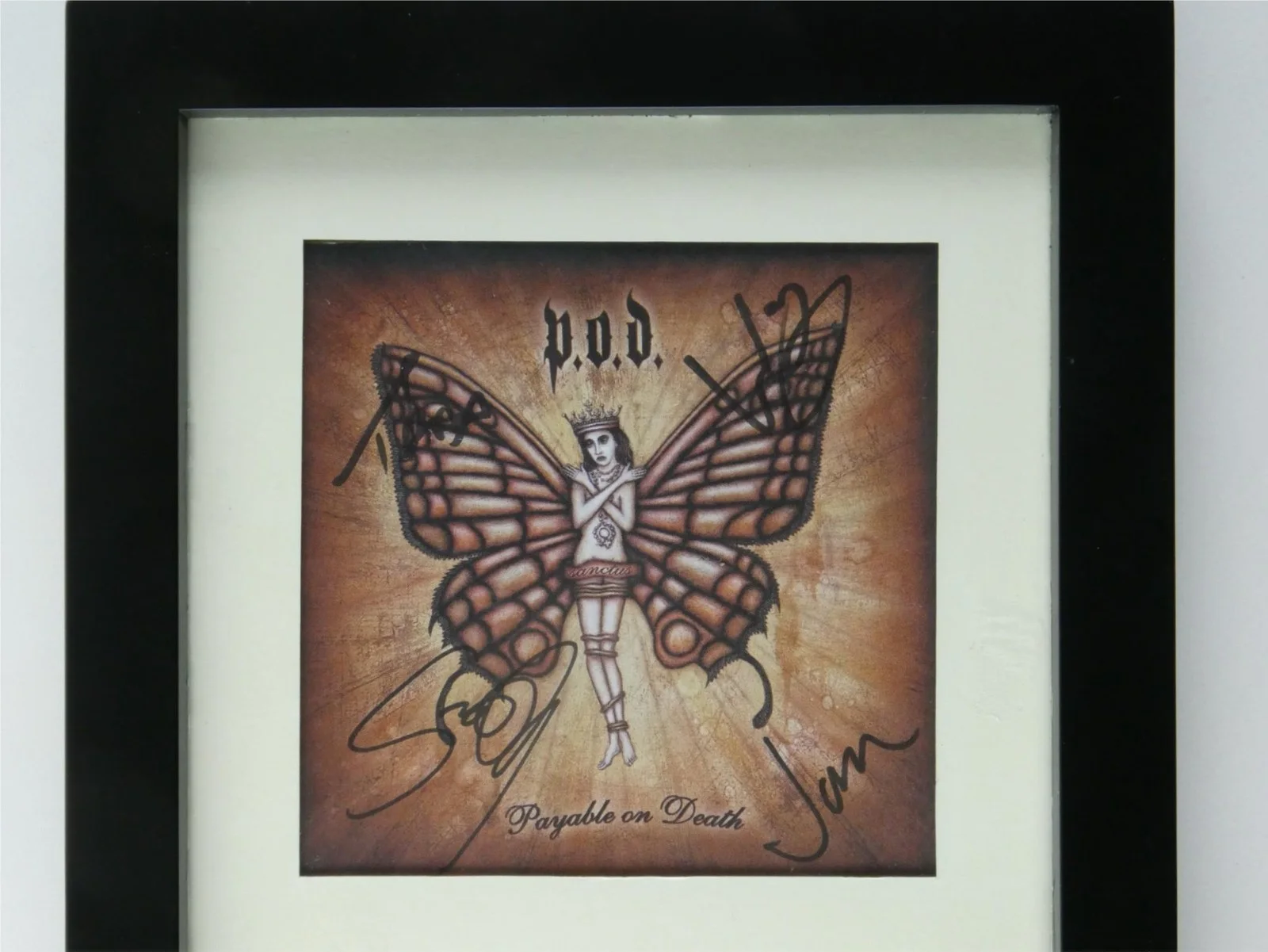 Payable On Death POD Band Signed CD Cover Framed Display Matted 7.75x13.25, image 2