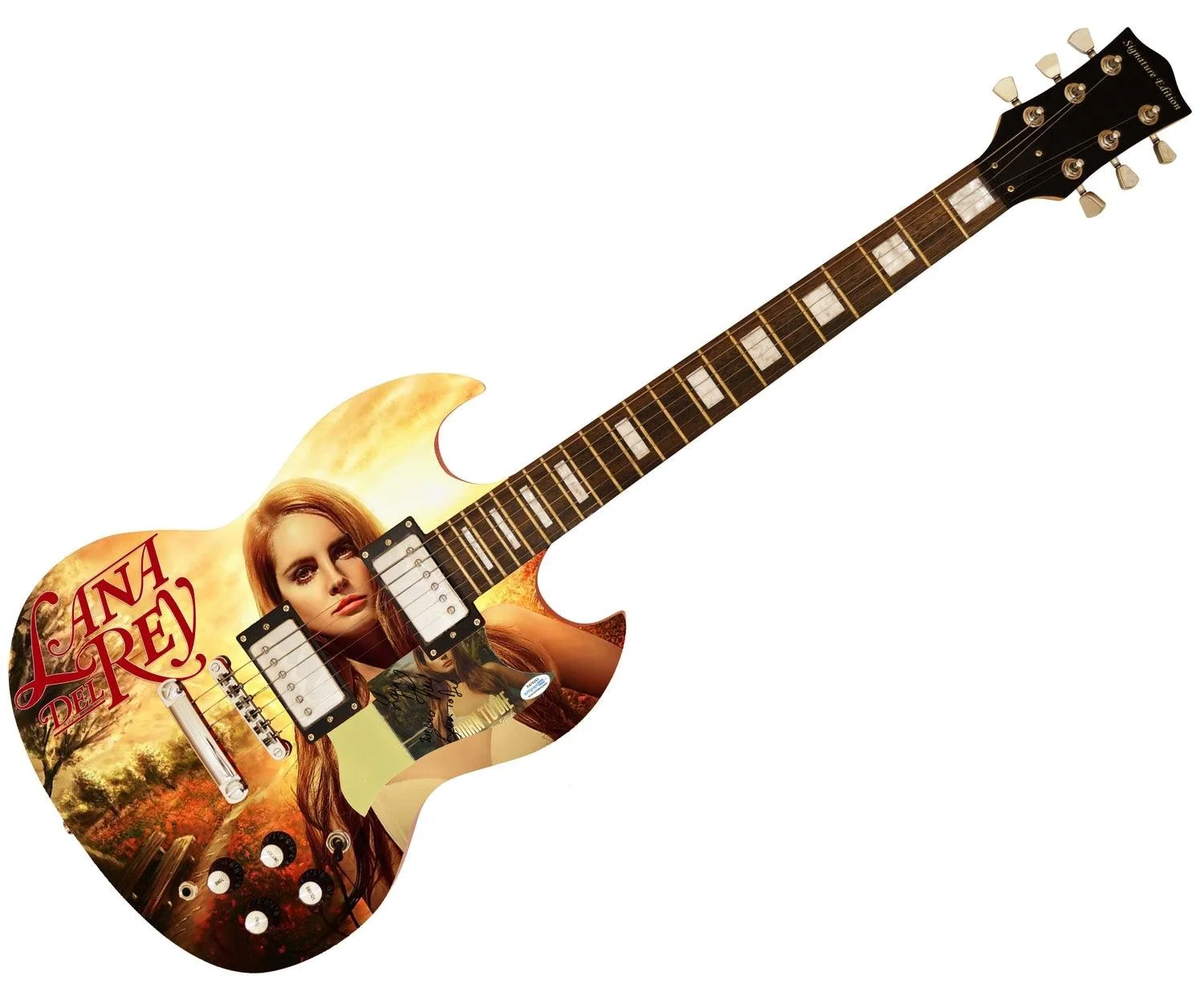 Lana Del Rey Autographed Custom Graphics CD Album Photo Guitar w Lyrics ACOA ACO, изображение 3