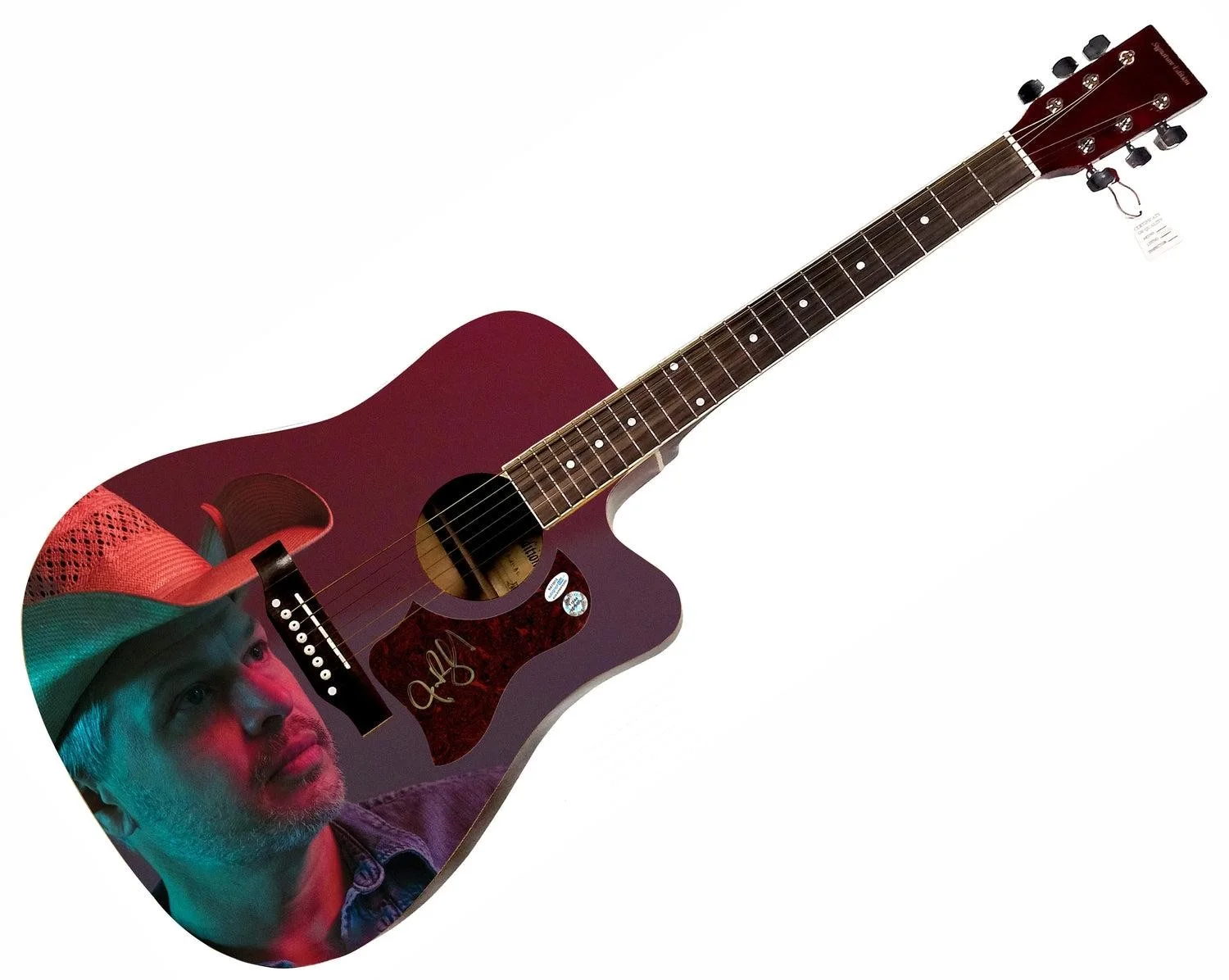 Jason Boland Signed Custom Graphics 1/1 Acoustic Guitar ACOA, image 3