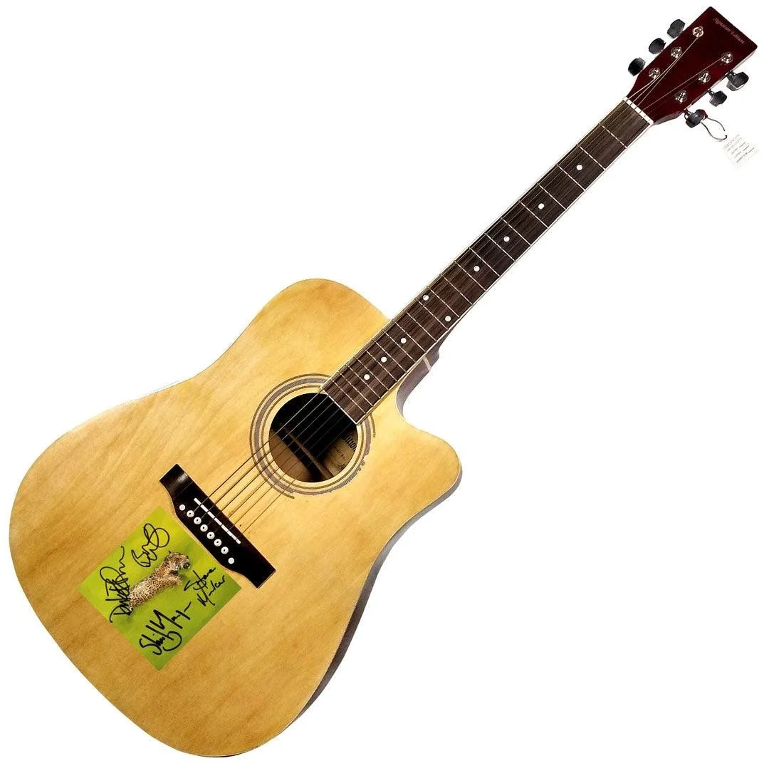 Garbage X4 Signed Empty CD Cover Acoustic Guitar, image 3