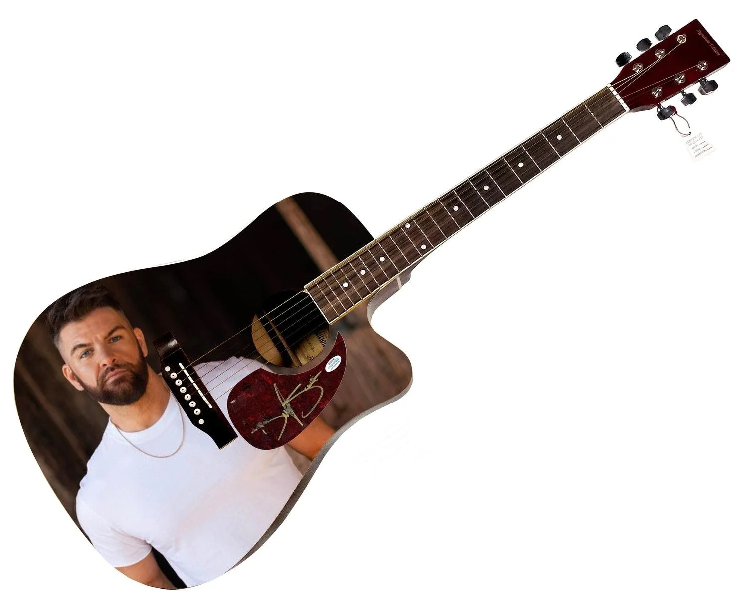 Dylan Scott Signed 1:1 Signature Edition Graphics Photo Guitar ACOA, изображение 3