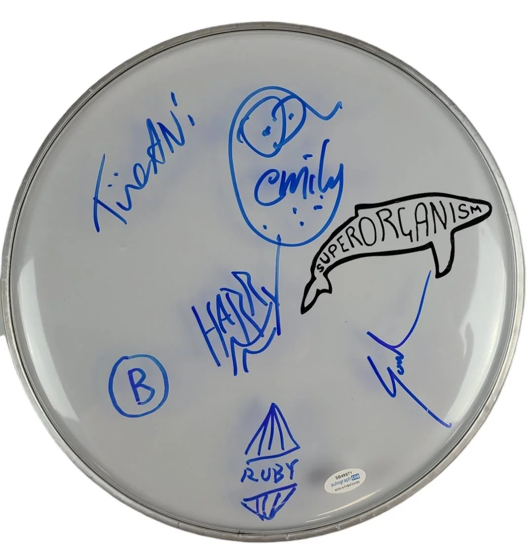 Superoganism Signed Autographed 12 Inch Clear Drumhead Drum Head, image 2