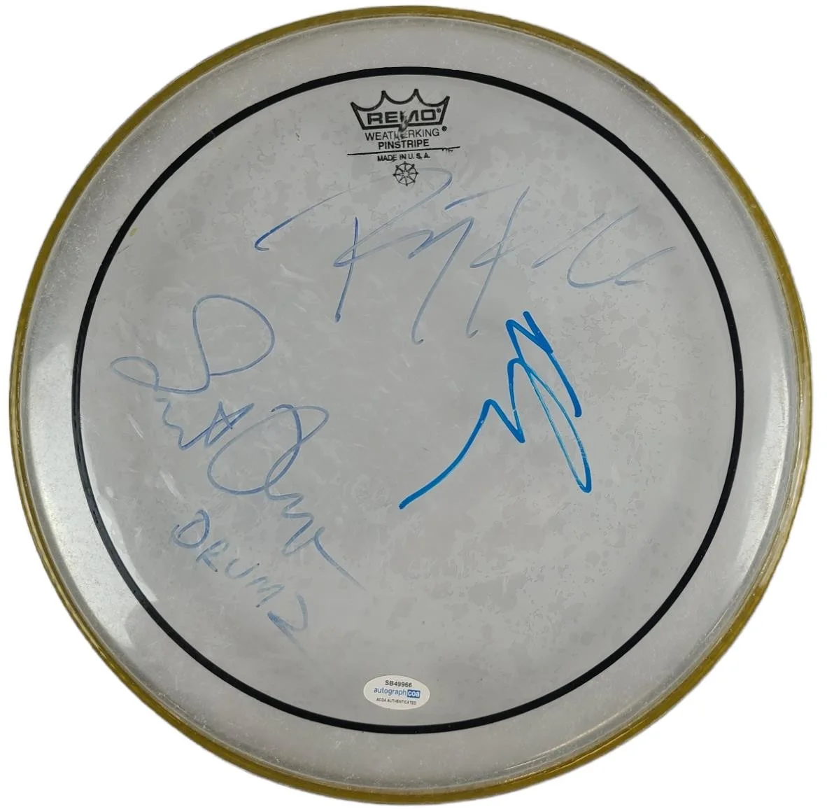 Jane's Addiction Signed Concert Used 12 Inch Drum Head Drumhead ACOA, изображение 2
