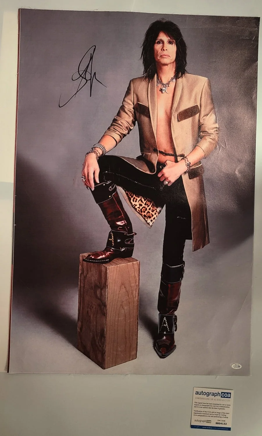 Aerosmith Steven Tyler Autographed Debonair Framed 24x36 Canvas Photo Video Proo, изображение 2