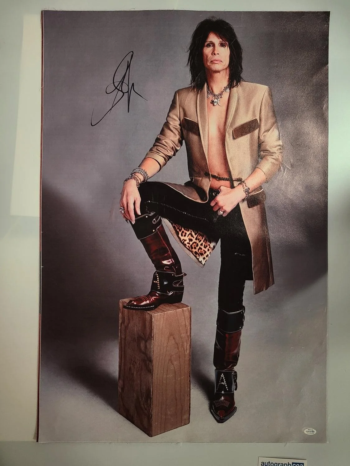 Aerosmith Steven Tyler Autographed Debonair Framed 24x36 Canvas Photo Video Proo, изображение 3