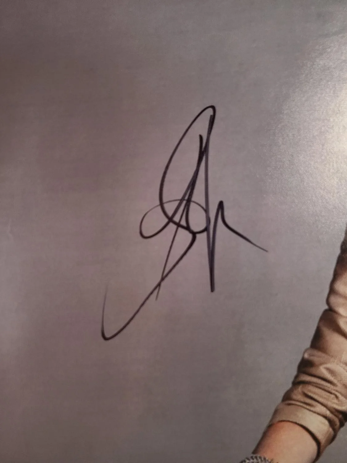 Aerosmith Steven Tyler Autographed Debonair Framed 24x36 Canvas Photo Video Proo, изображение 5