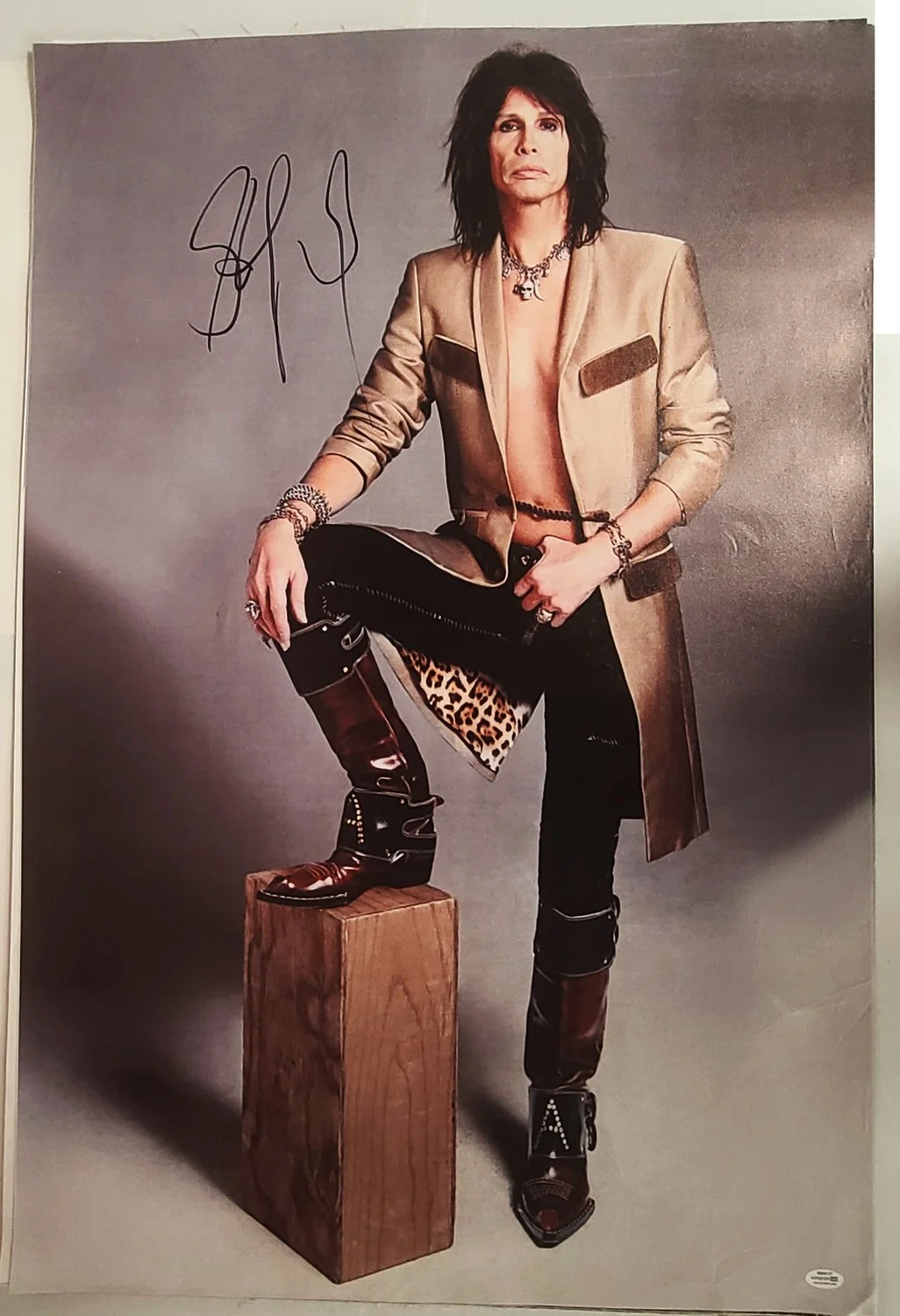Aerosmith Steven Tyler Autographed Debonair Framed 24x36 Canvas Photo Video Proo, image 2
