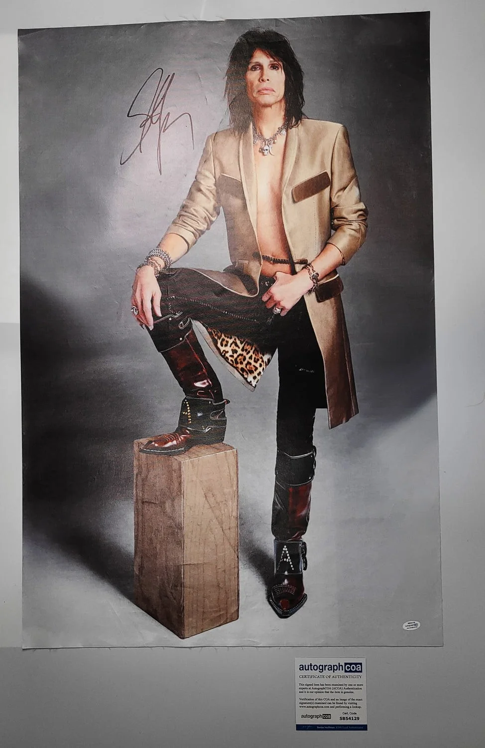 Aerosmith Steven Tyler Autographed Framed 24x36 Canvas Photo Print Video Proof A, изображение 2